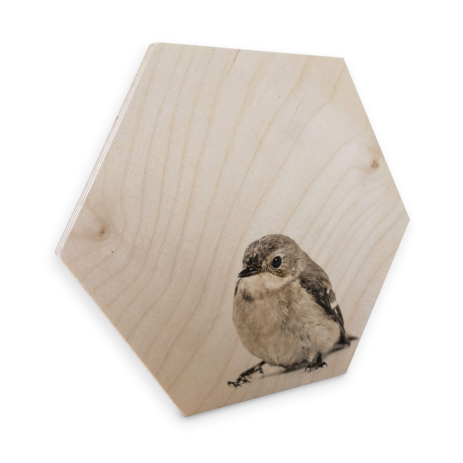 Hexagon - Holz Birke-Furnier - Kleiner Spatz