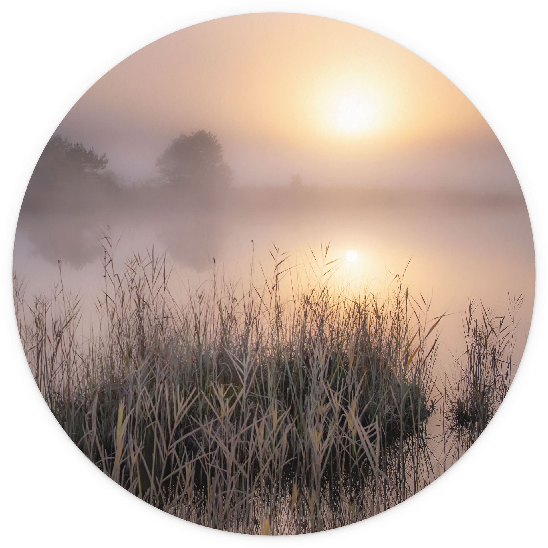 Muurschildering Mistige herfstdag | natuurfotografie voor de woonkamer - Eisenmann - Rond - vliesbeh