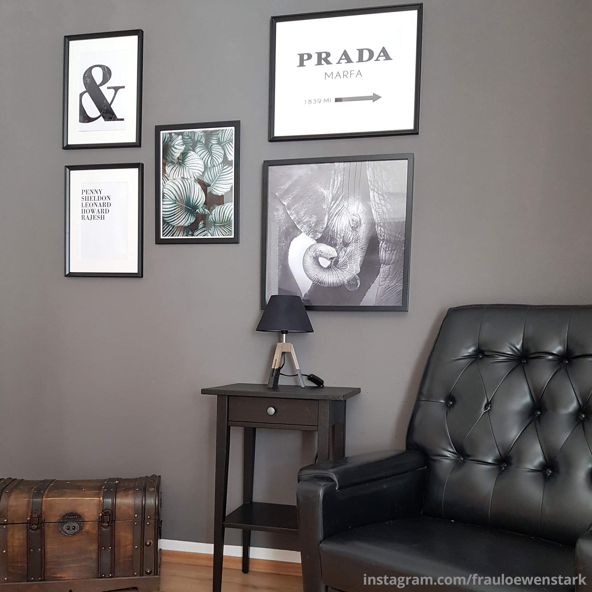 Poster - Urban Jungle - Calathea Orbifolia