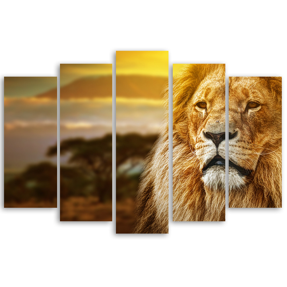 5 stykke lærredstryk, Lion Africa Savannah Landscape