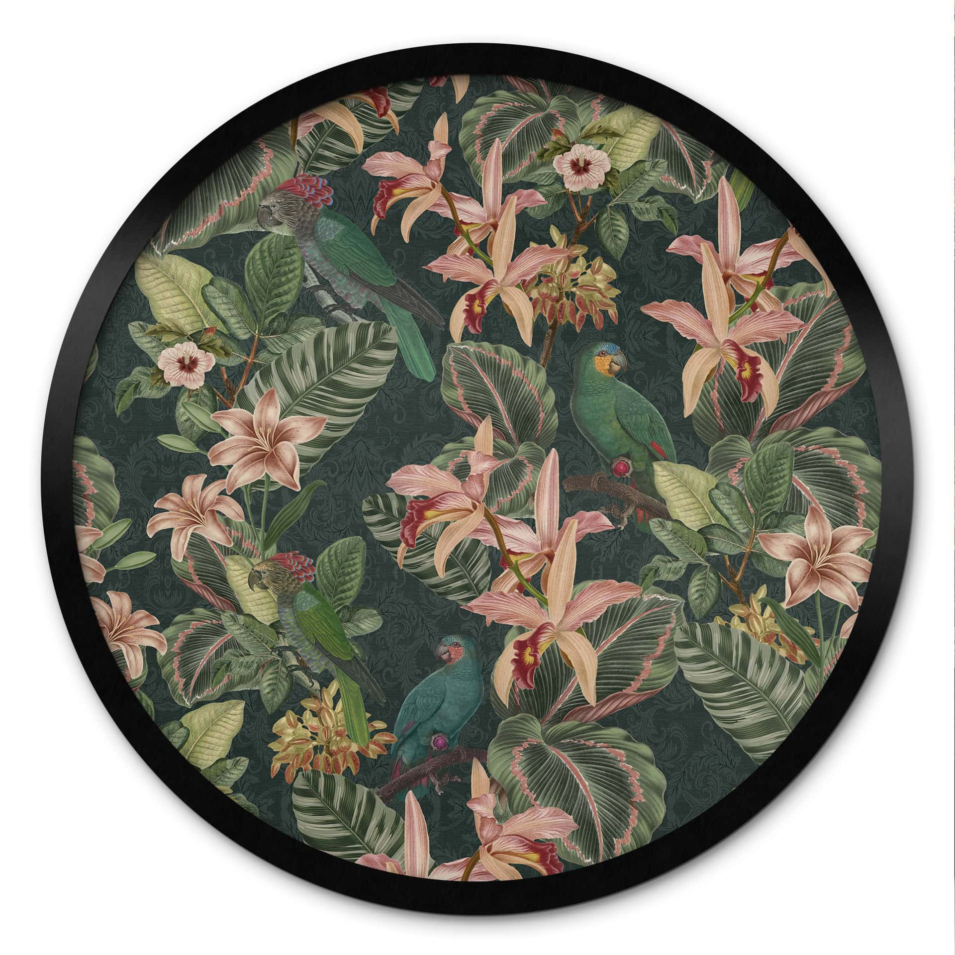 Poster jungle avec perroquets vert nuit - Bloomery Decor - Rond