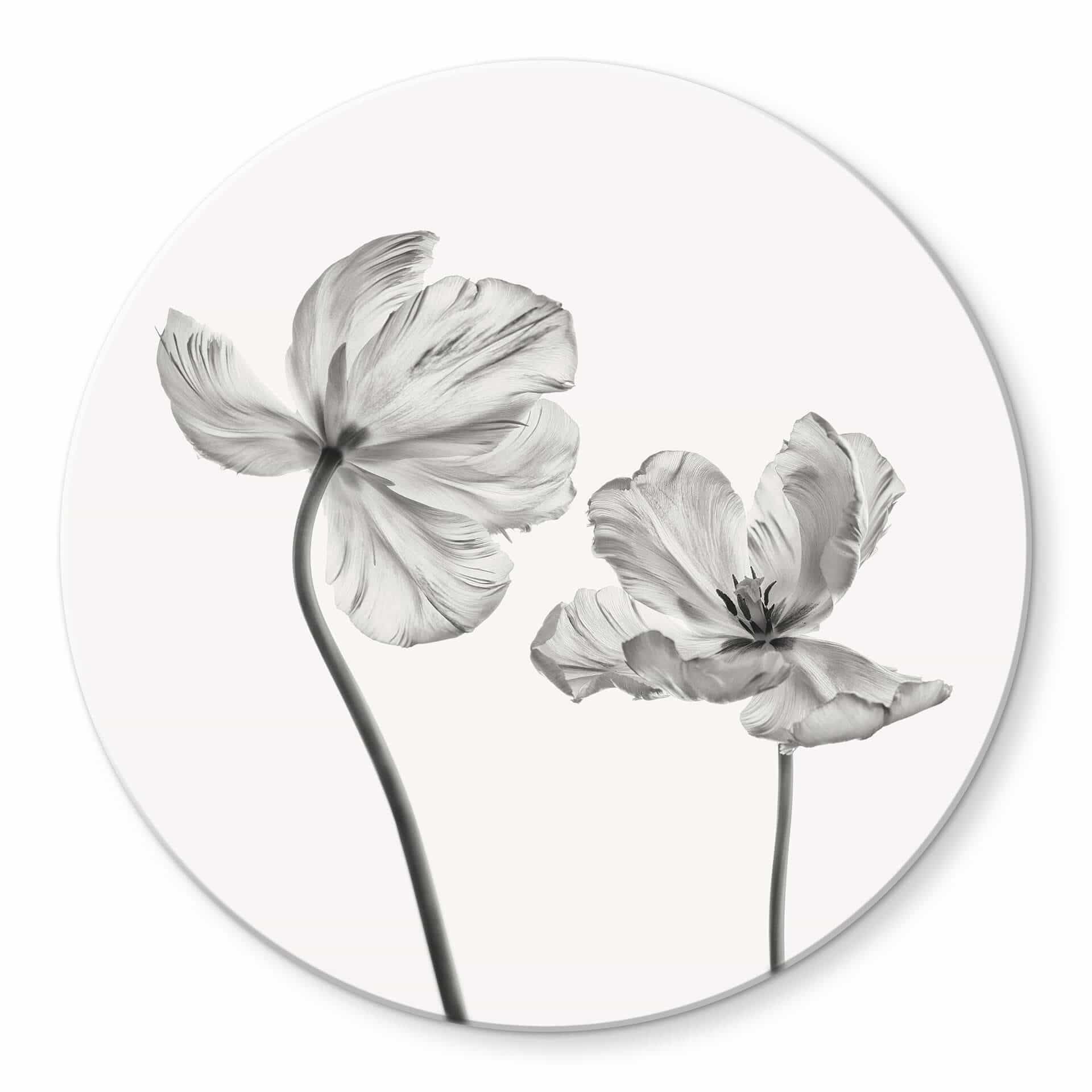 Tableau en verre Grønkjær - Tulipes - Rond