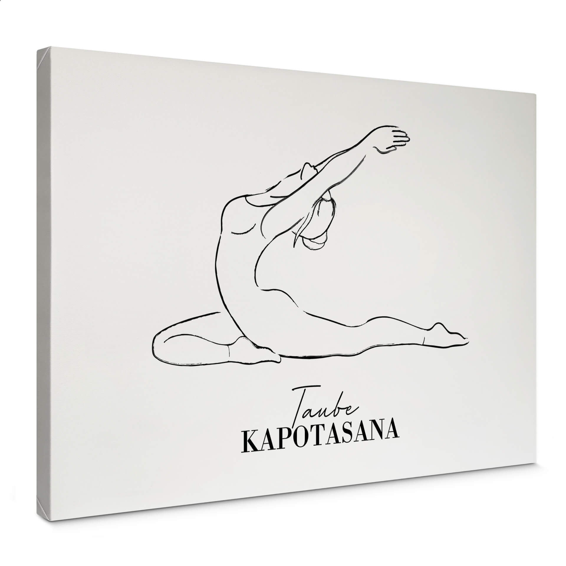 Obraz na płótnie Yoga - Gołąb - Line Art