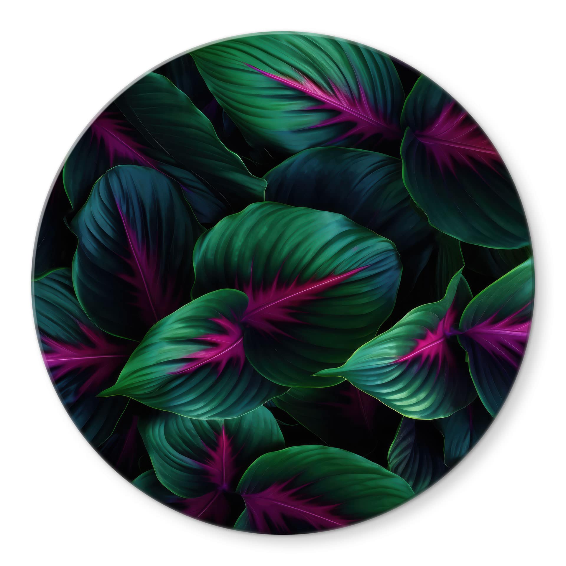 Glasbillede - Farverige jungleplanter - Paksoylu
