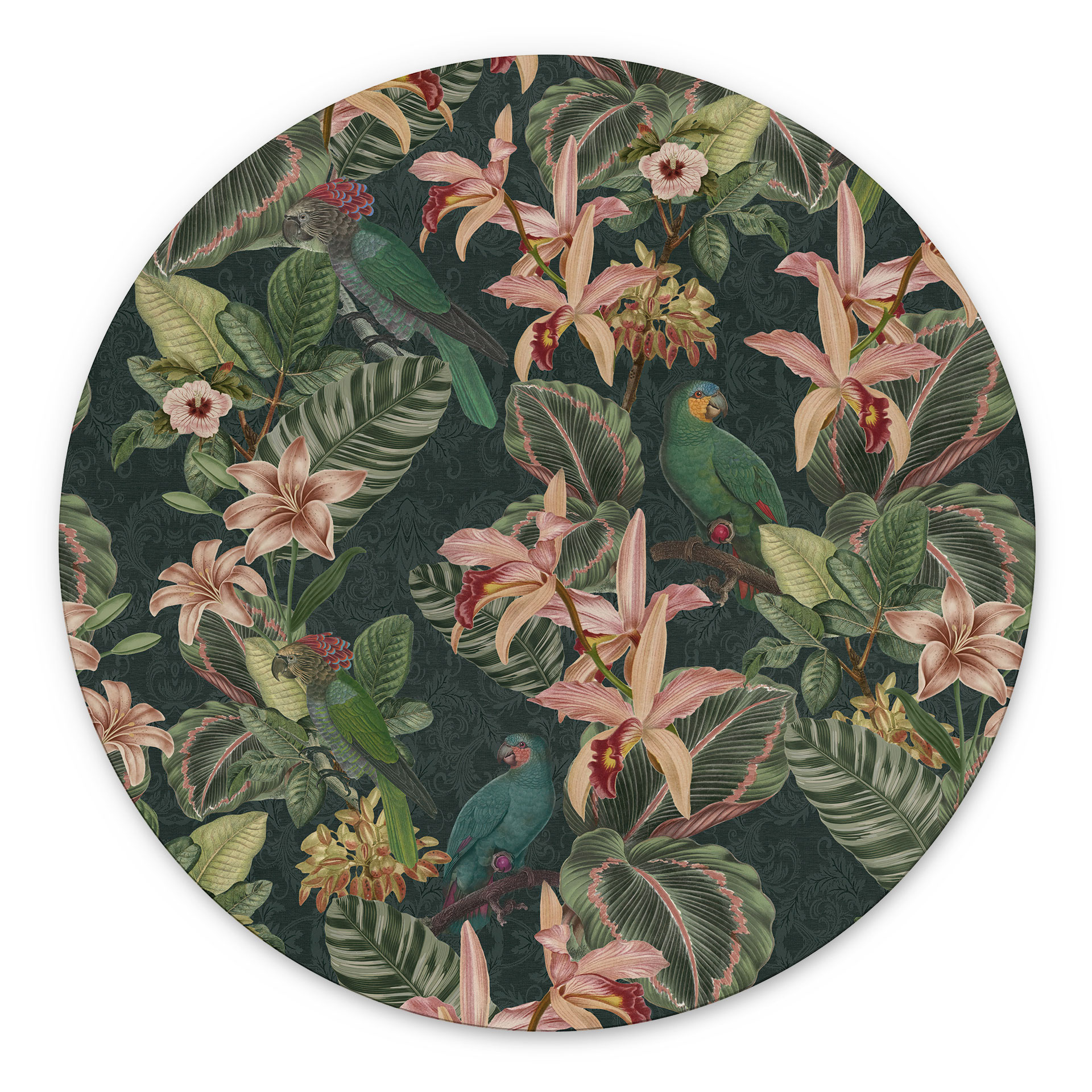 Billede jungle med papegøjer natgrøn - Bloomery Decor - rund – print på aluminium (Alu-Dibond)