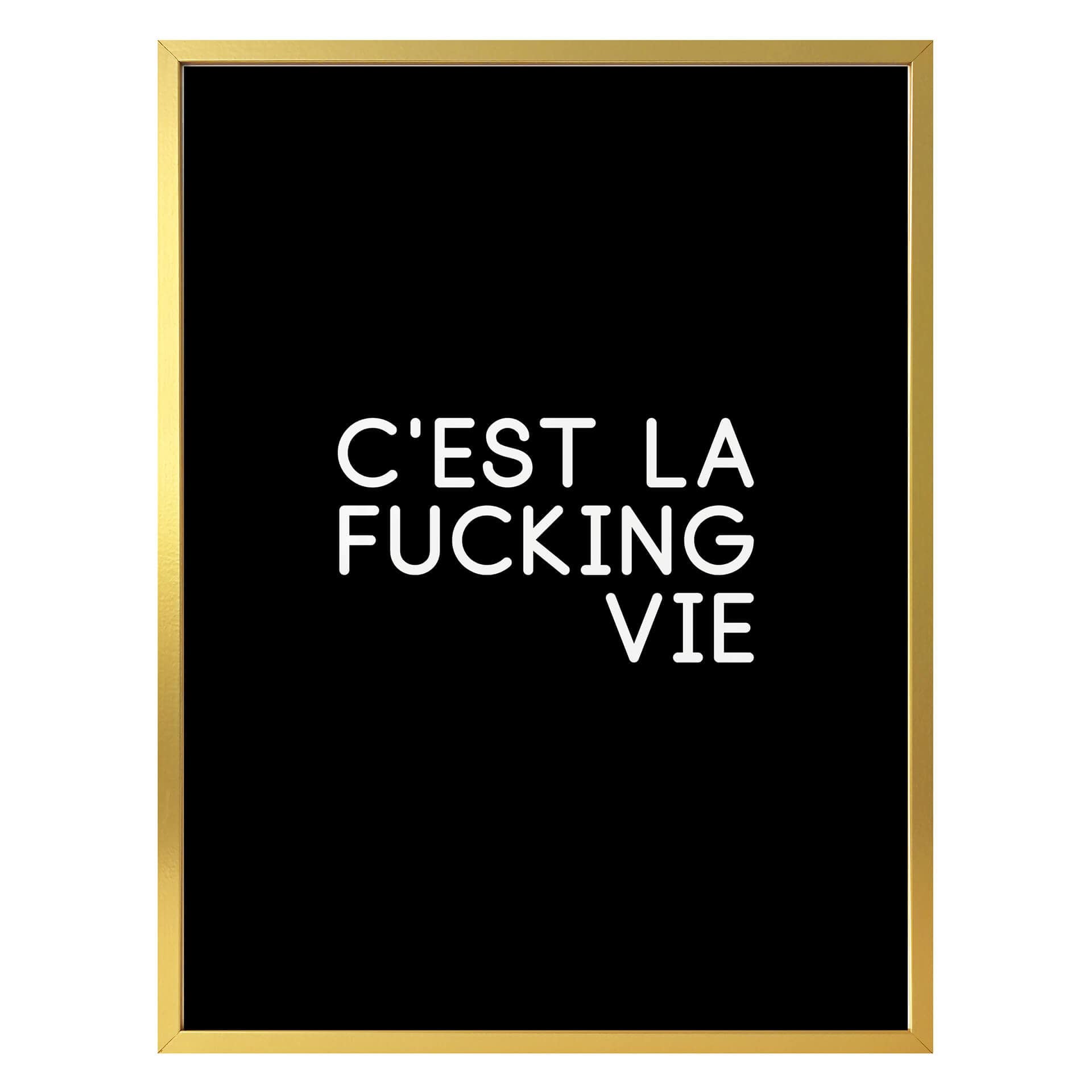Plakat C'est la fucking vie