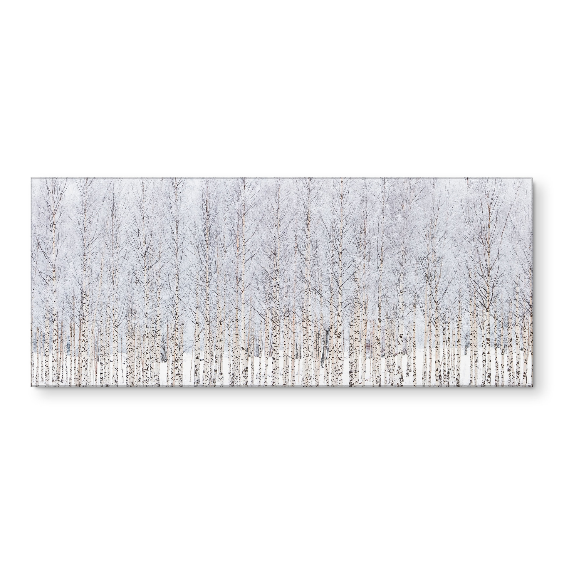 Revêtement pour cuisine avec motif naturel Forêt de bouleaux en hiver - EMELIEmaria