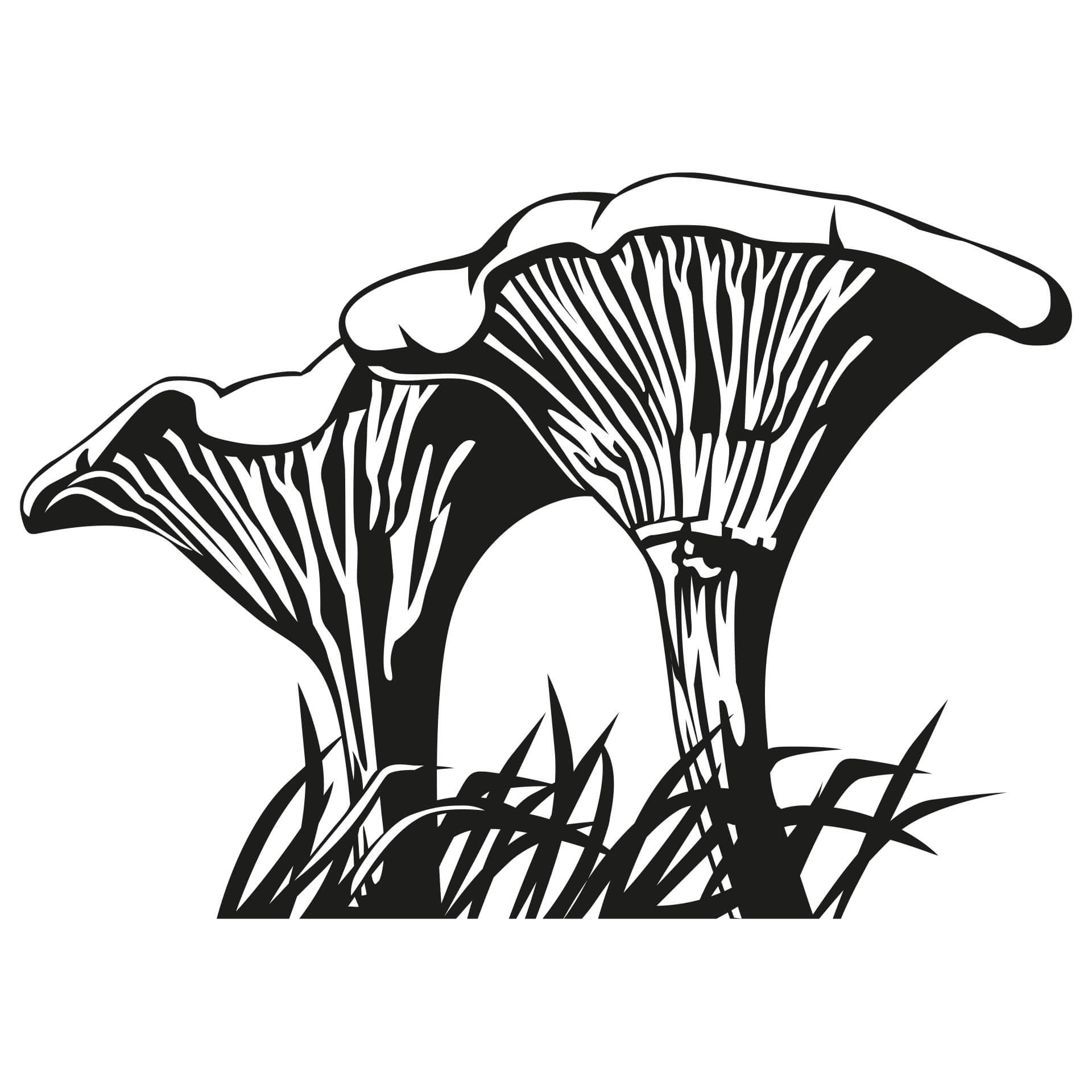 Wallsticker Kantareller