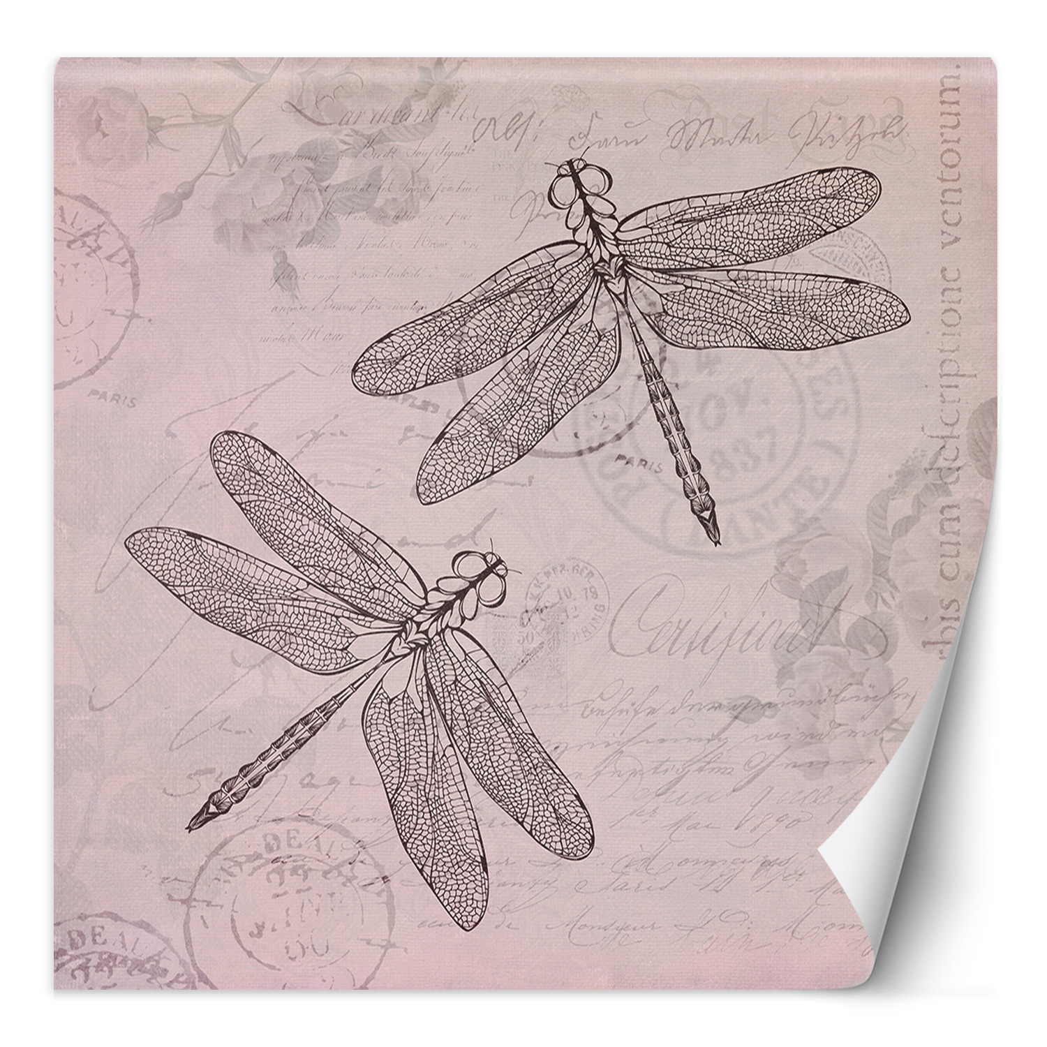Fototapete, Shabby Chic Stil Libelle auf rosa Hintergrund - Andrea Haase
