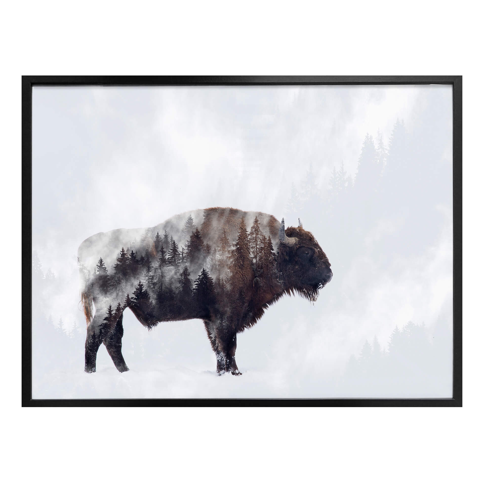 Plakat Beáta - Żubr