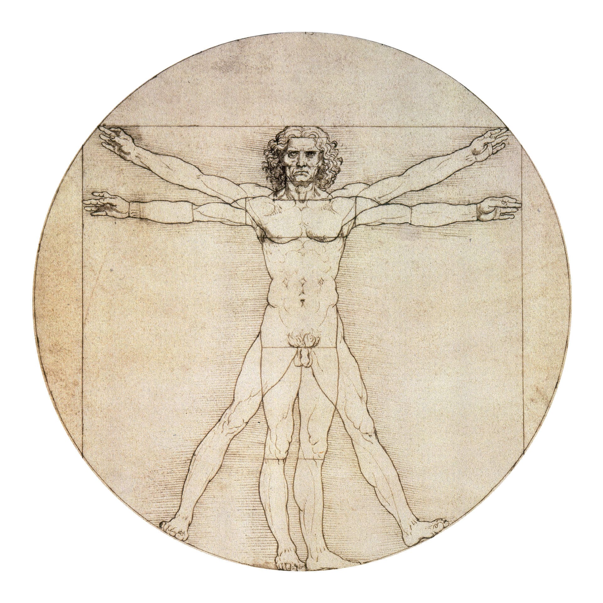 Wandtattoo Da Vinci - Proportionszeichnung - Rund