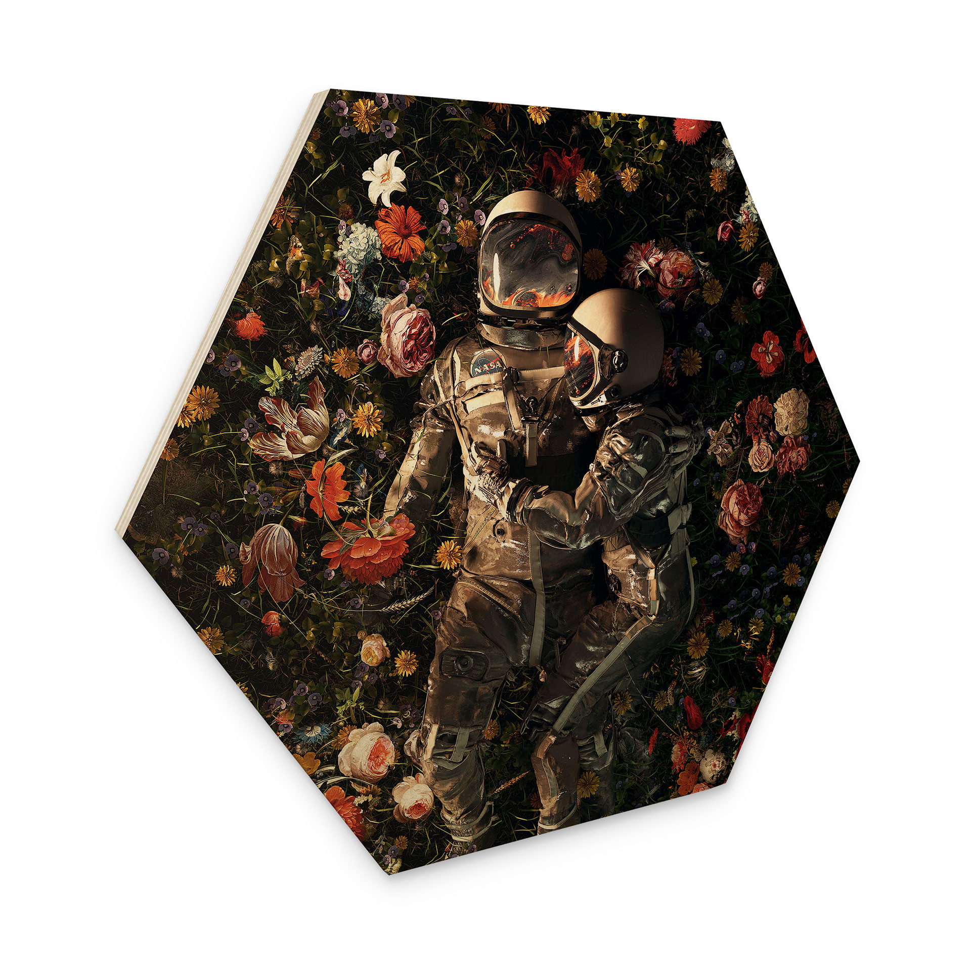 Sekskantet træ Astronauter på en blomstereng - Nicebleed