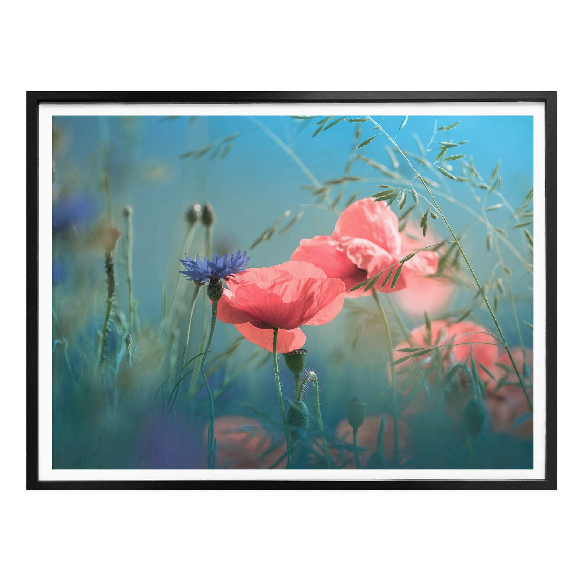 Plakat Delgado - Wildflowers Aquamarine