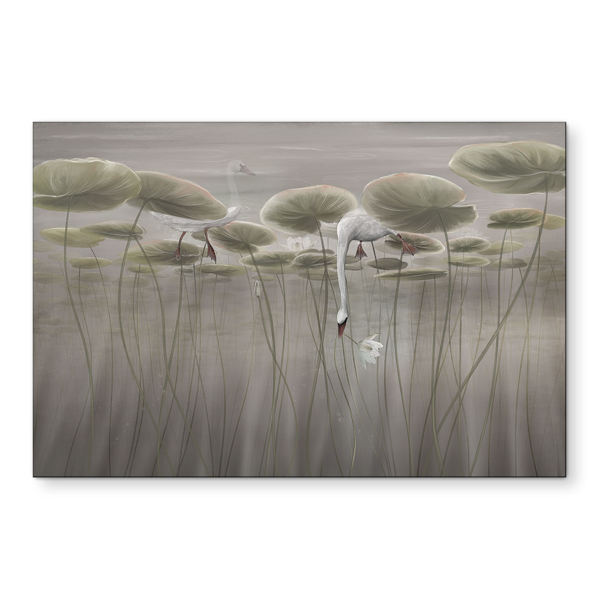 Wanddecoratie lotusbloemen met zwaan in water in grijs - Ms Tiff - Alu-Dibond