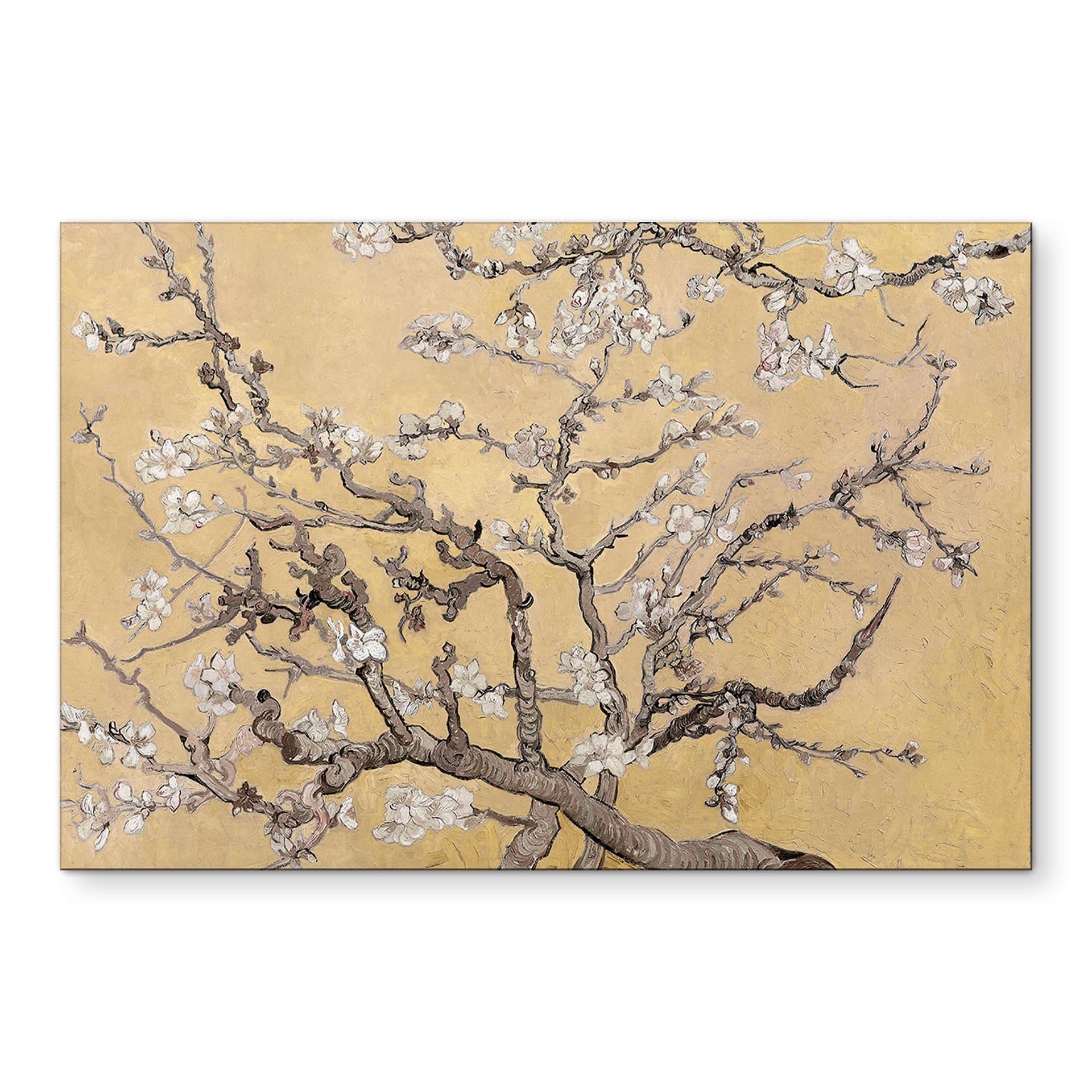 Wandbild van Gogh - Mandelblüte - creme - Alu-Dibond