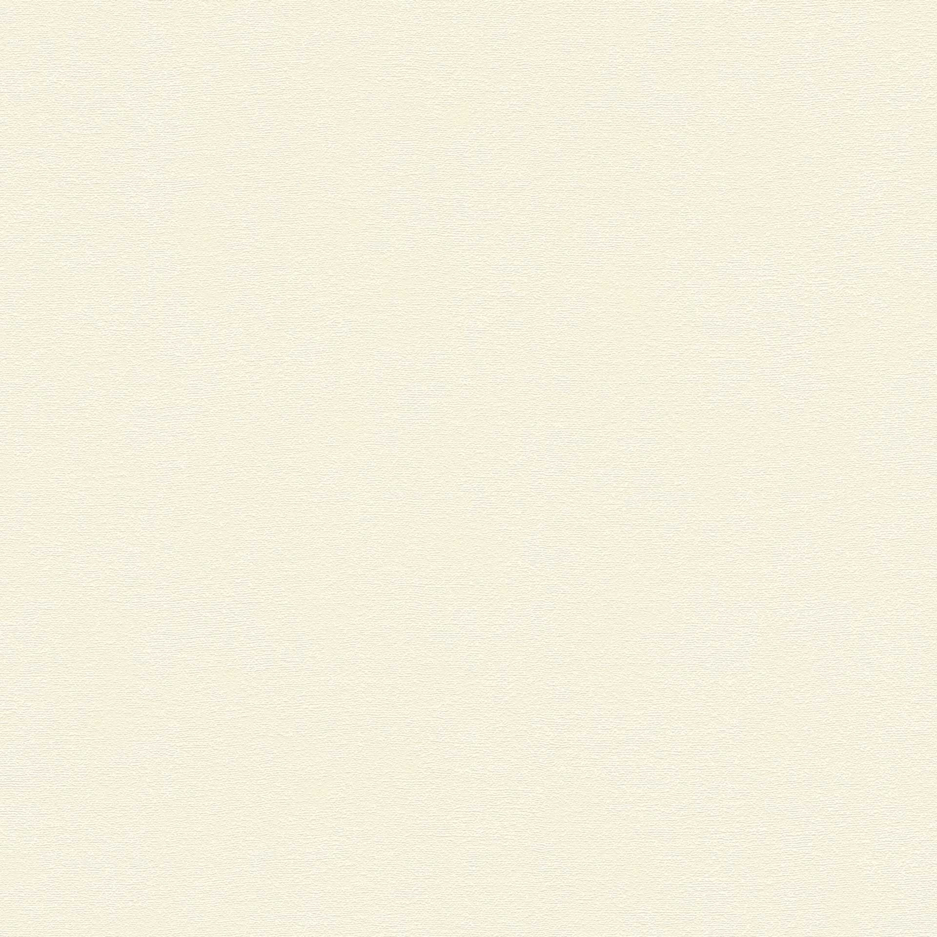 Próbki