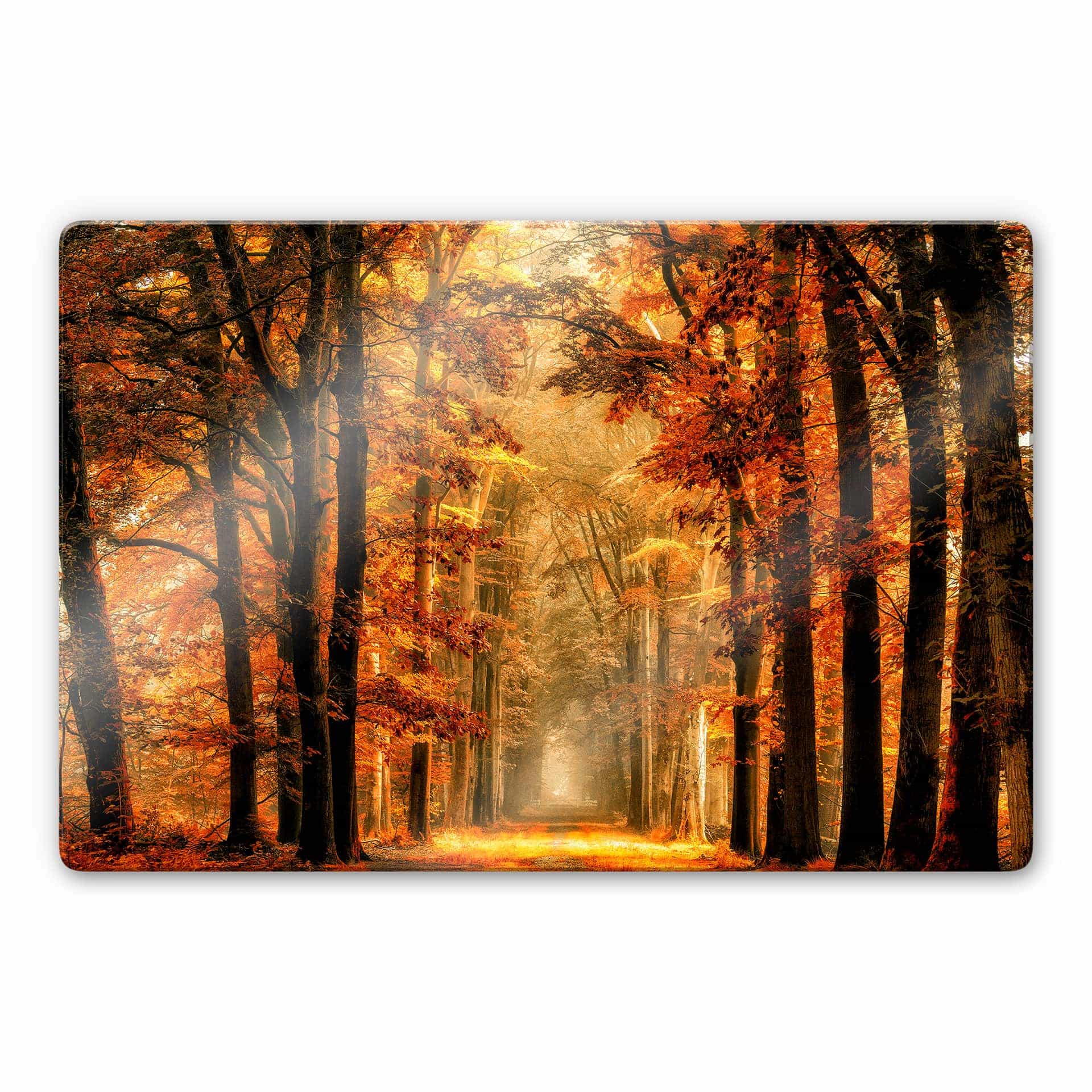 Glasschilderij van de Goor - Herfst