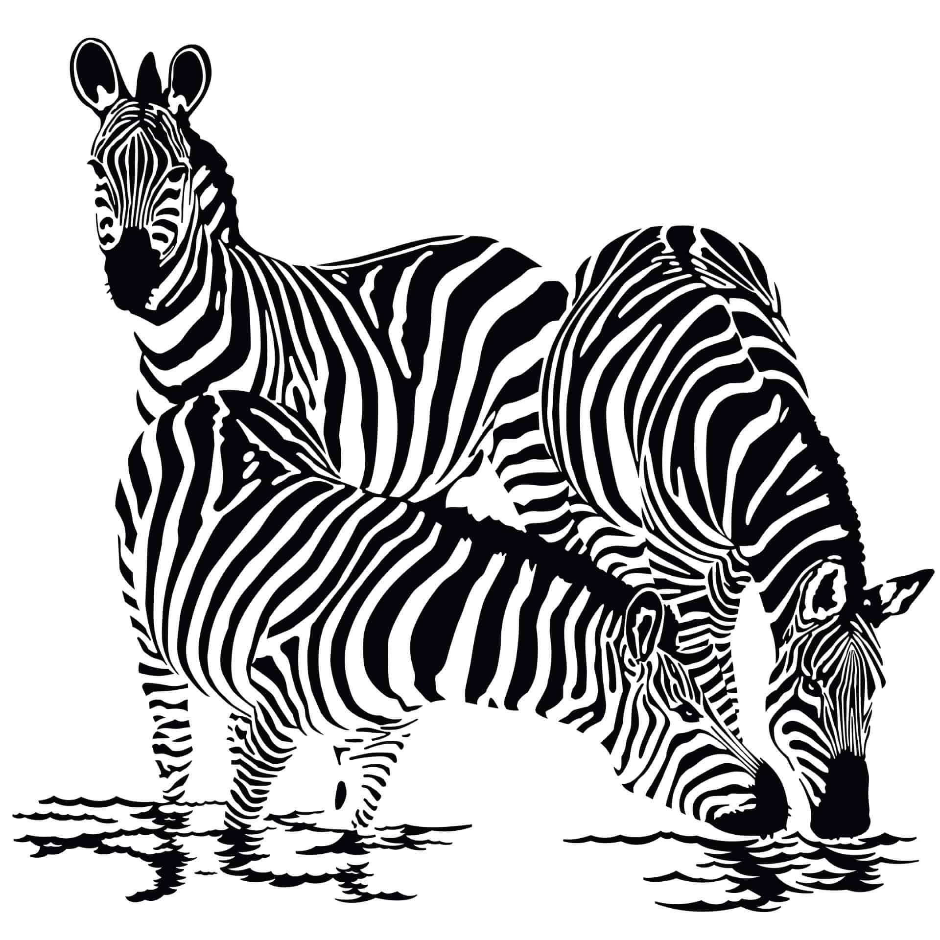 Wallsticker Zebraer 2