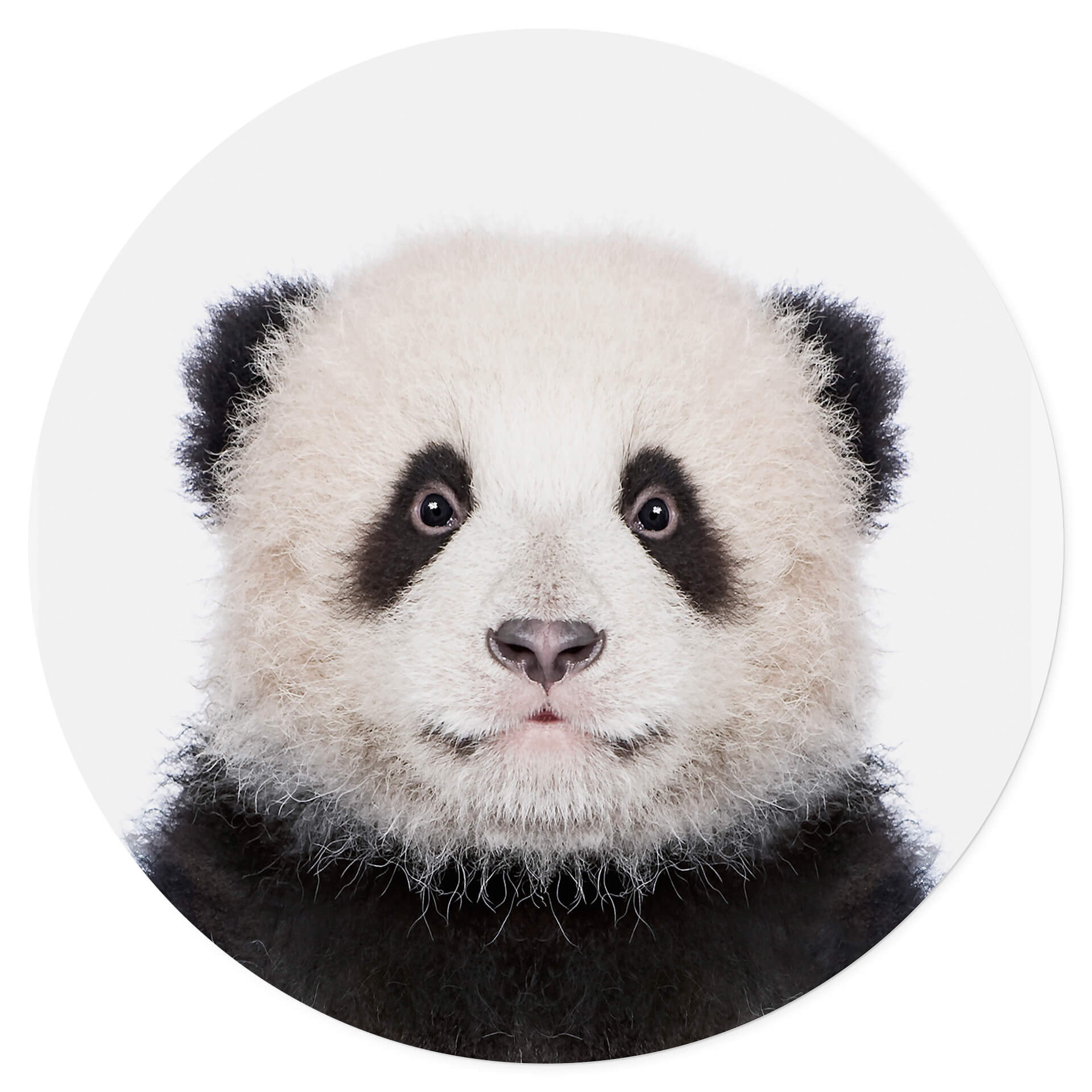 Wandtattoo Sisi & Seb - Baby Panda - Rund