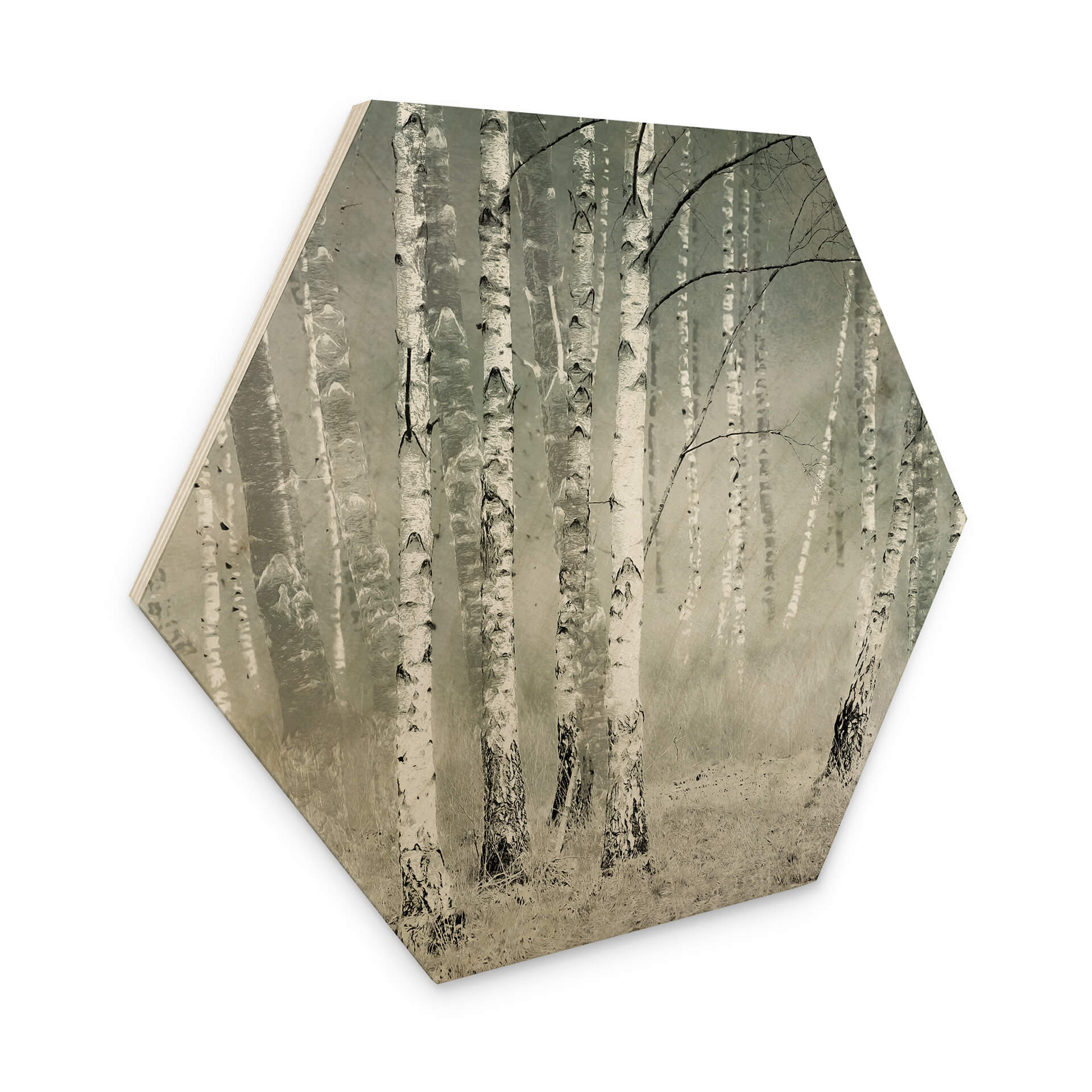 Esagono in legno Talen - Tranquillità
