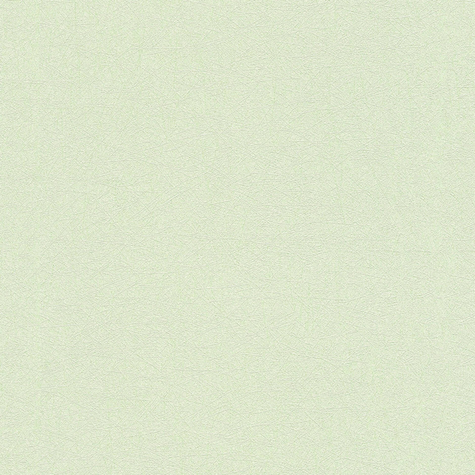 Vliesbehang Premium Wall Behang