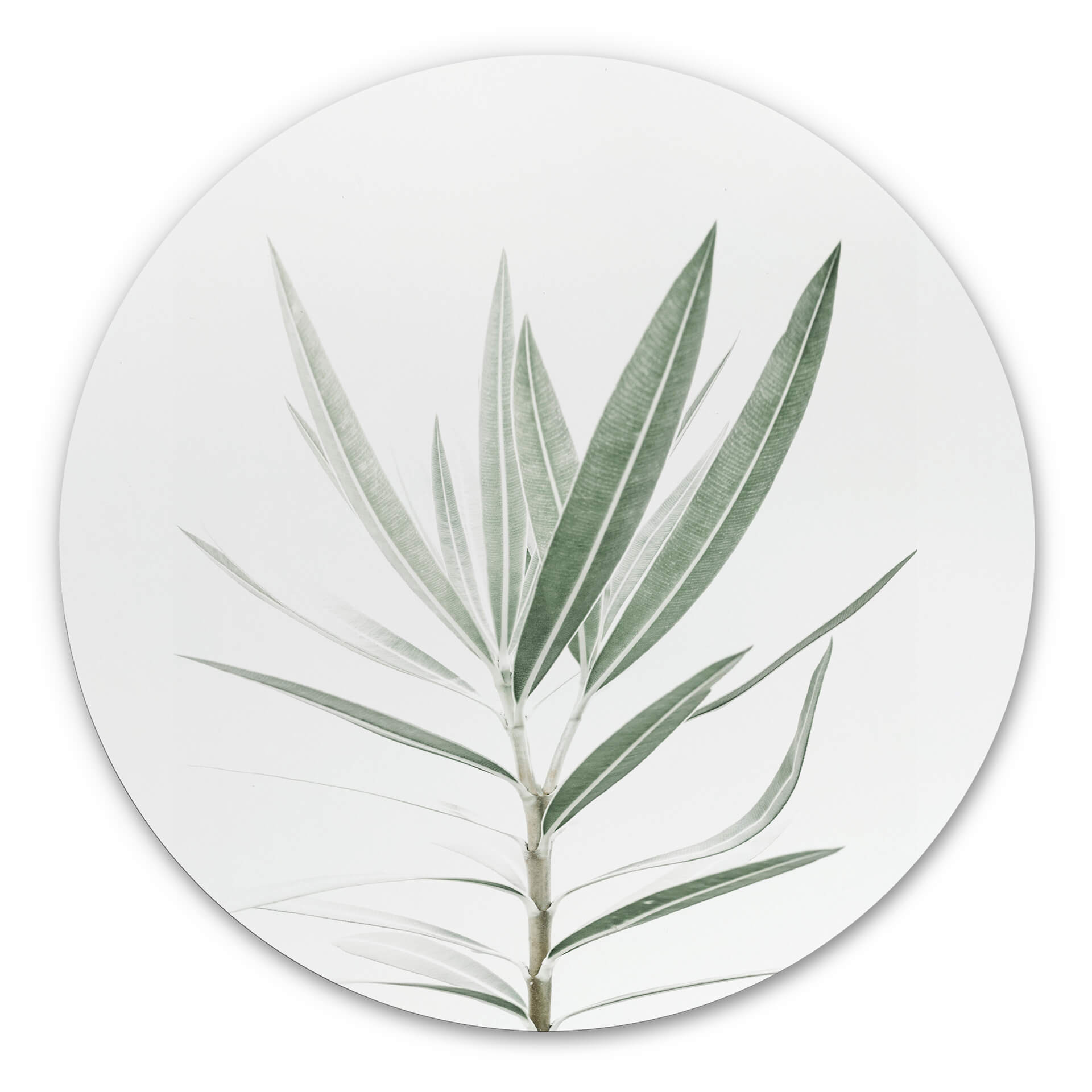 Tableau sur alu-Dibond Sisi & Seb - Laurier - Rond
