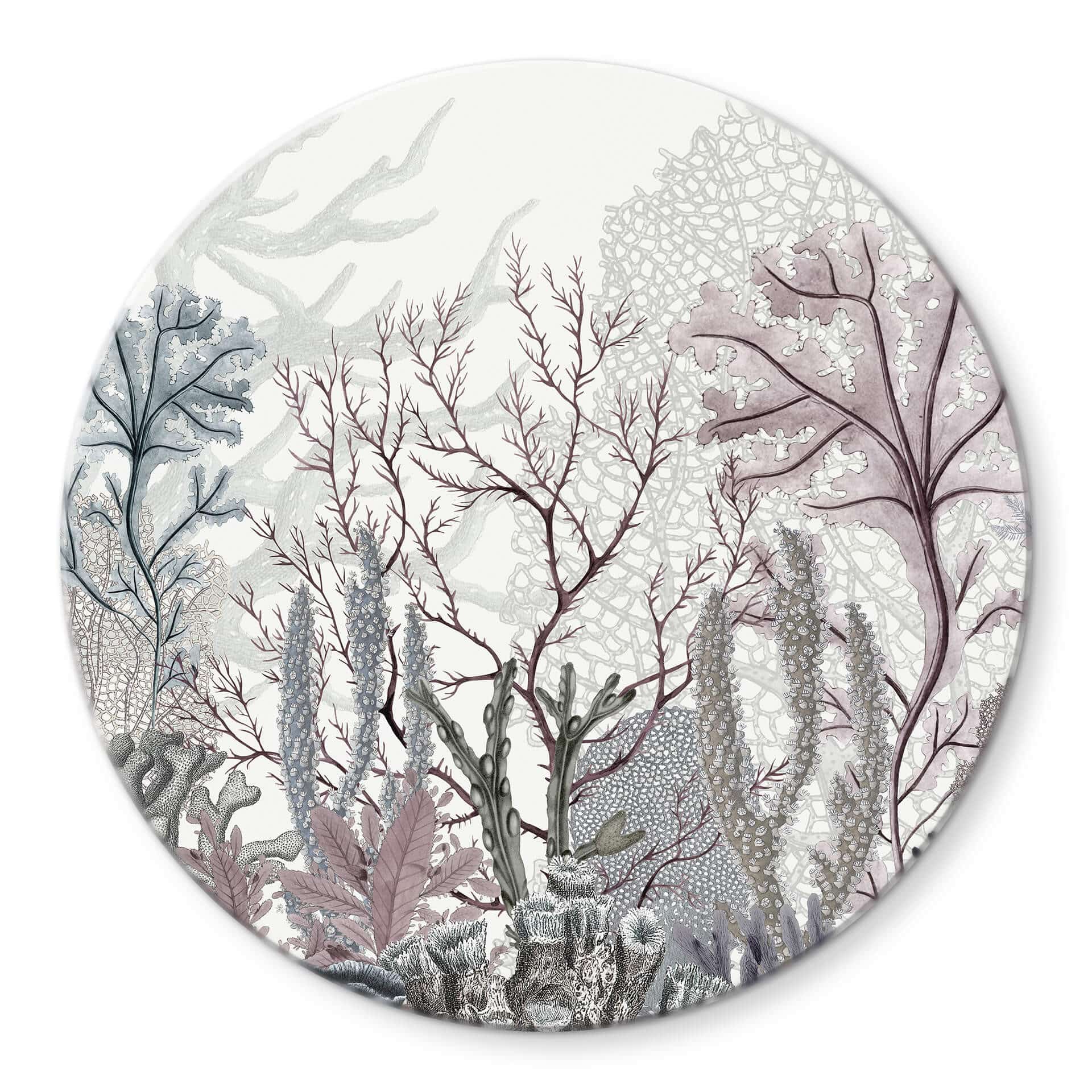 Glasbild Sir Edward - Meereswunder - Rund
