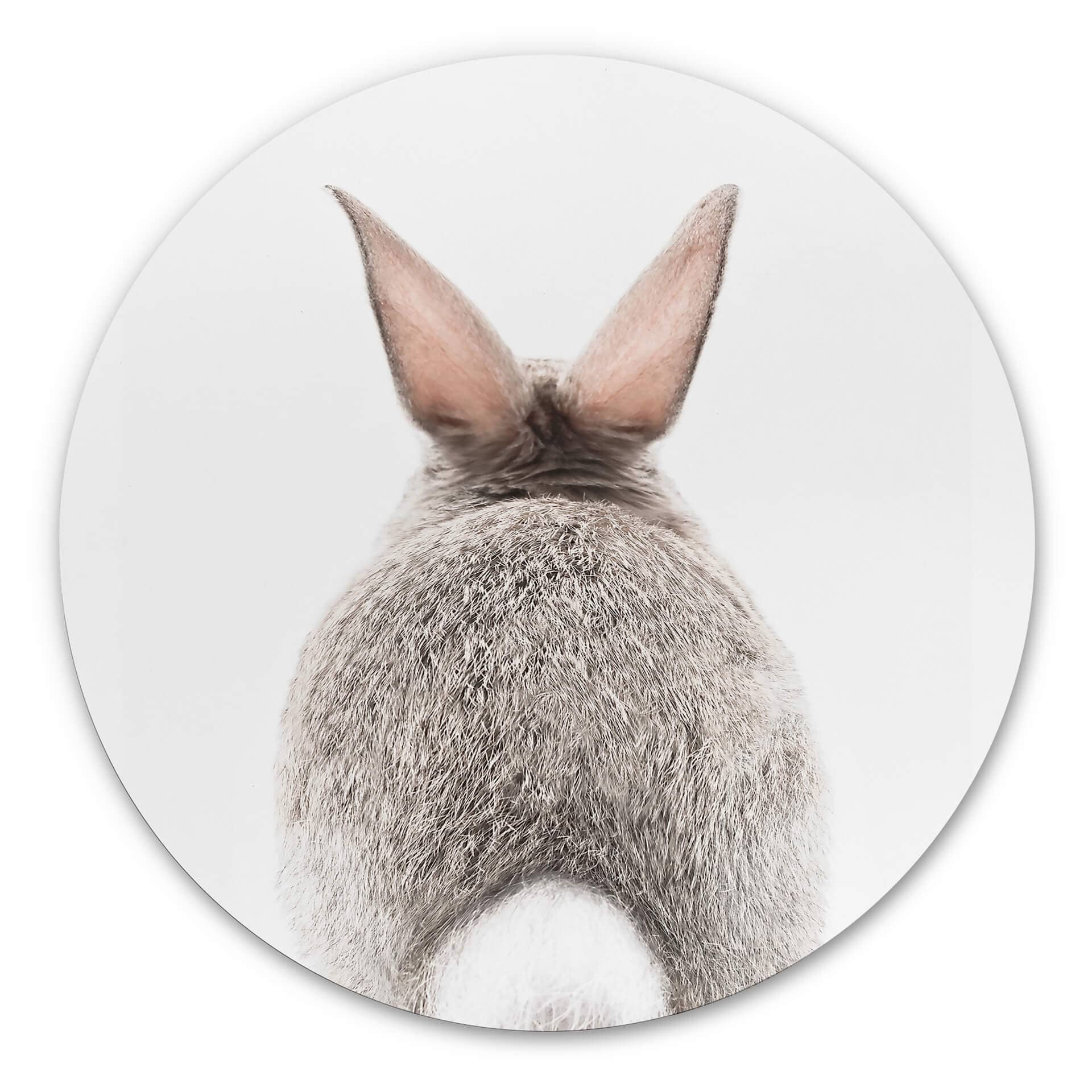 Tableau sur alu-Dibond rond Sisi & Seb - bas de lapin