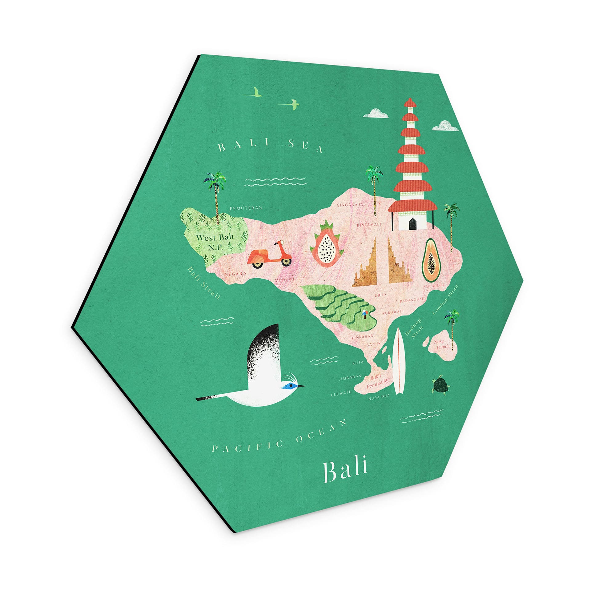 Hexagon Dibond Kort over Bali - Rivers