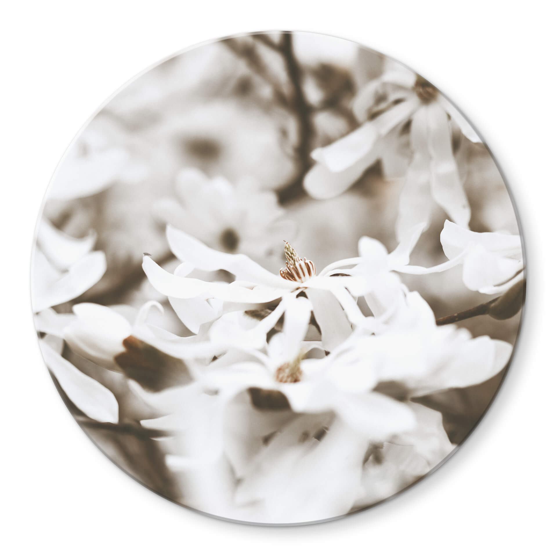 Tableau sur verre Annie - Jasmin - Rond