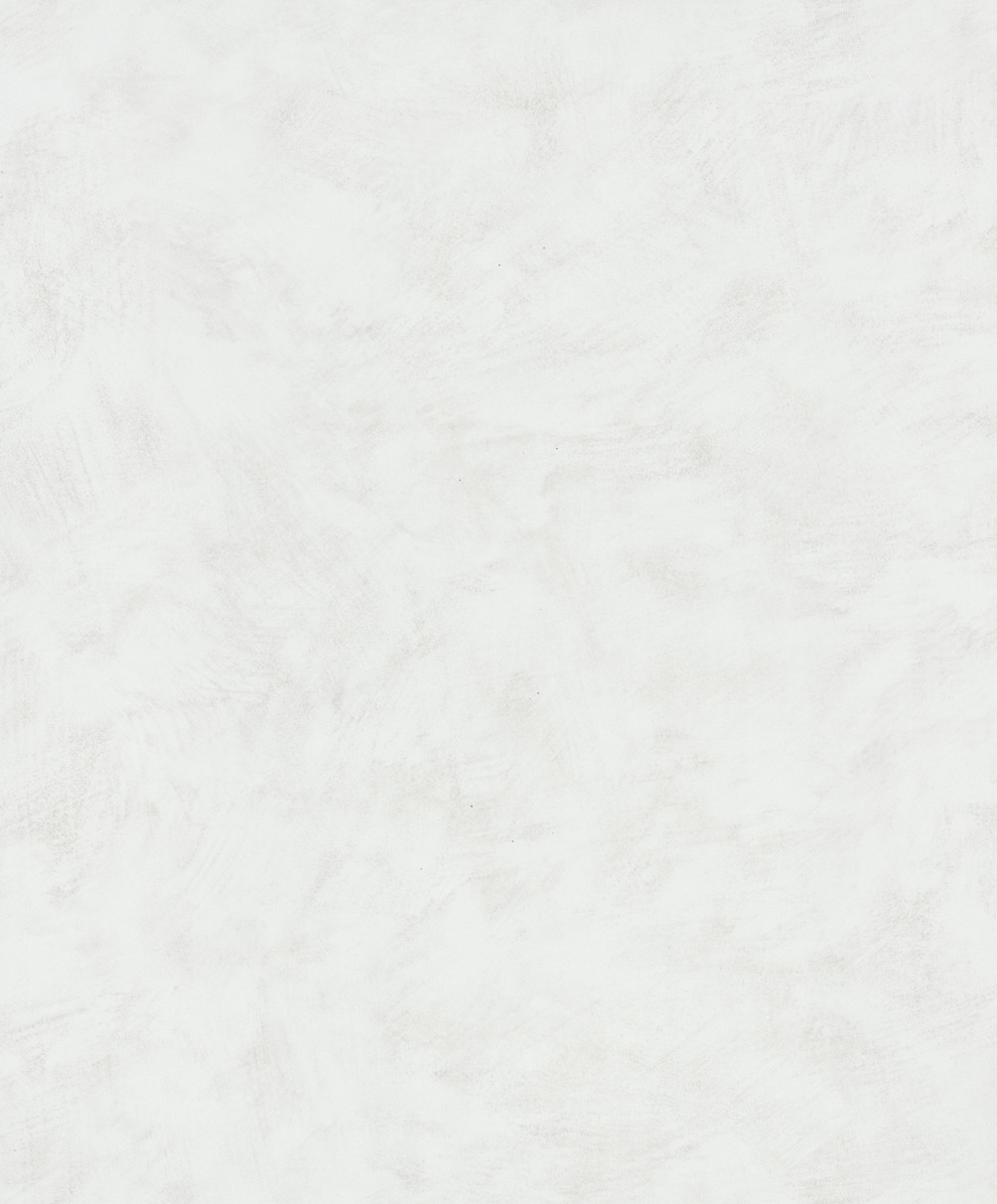 Vinyl behang, vliesbehang Novamur Kylie wit, beige