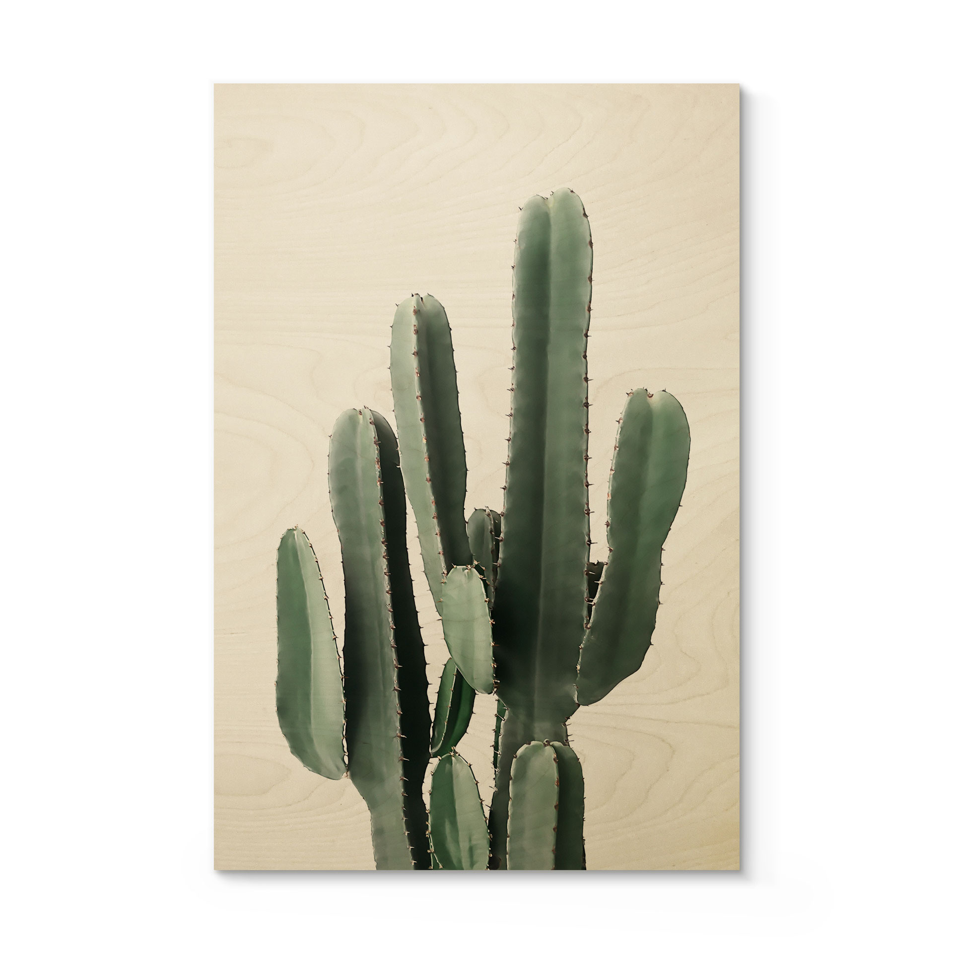 Pianta di cactus a stampa su legno - Sisi & Seb