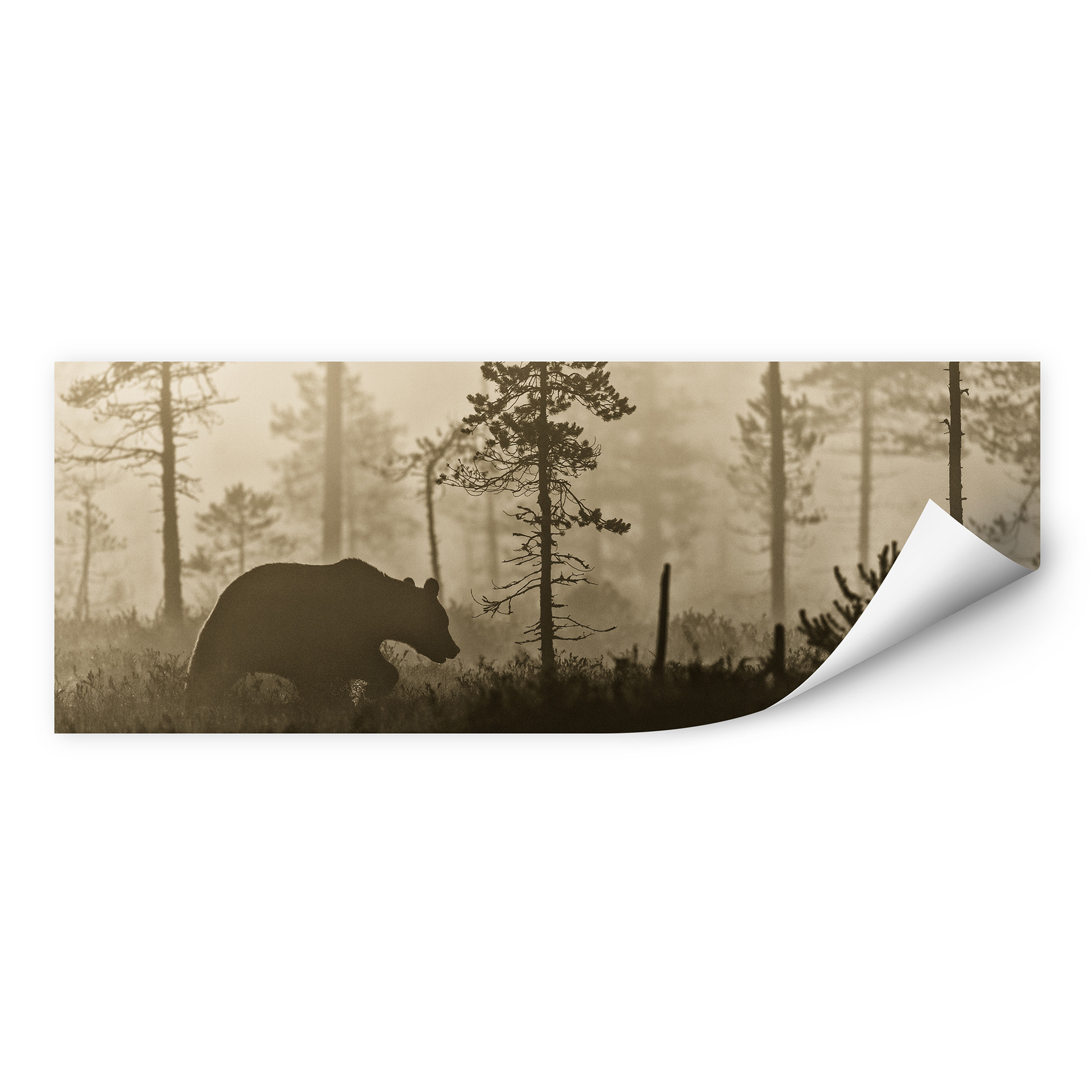 Wallprint Ove Linde - Nebel am Morgen - Panorama