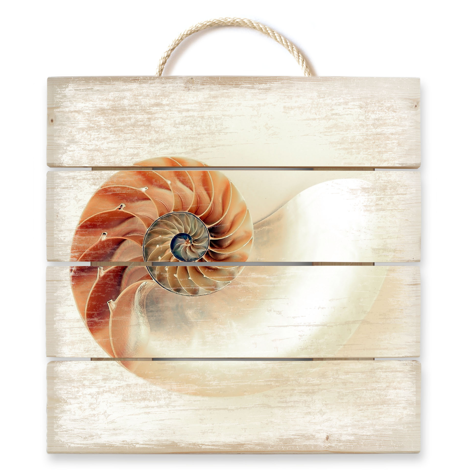 Obraz drewniany Nautilus - 40x41,5 cm