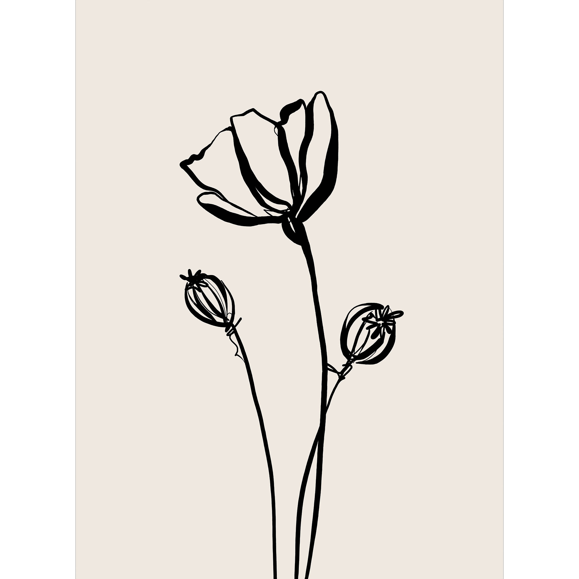 Bloemen Fotobehang Line Art Poppy - Cats & Dotz