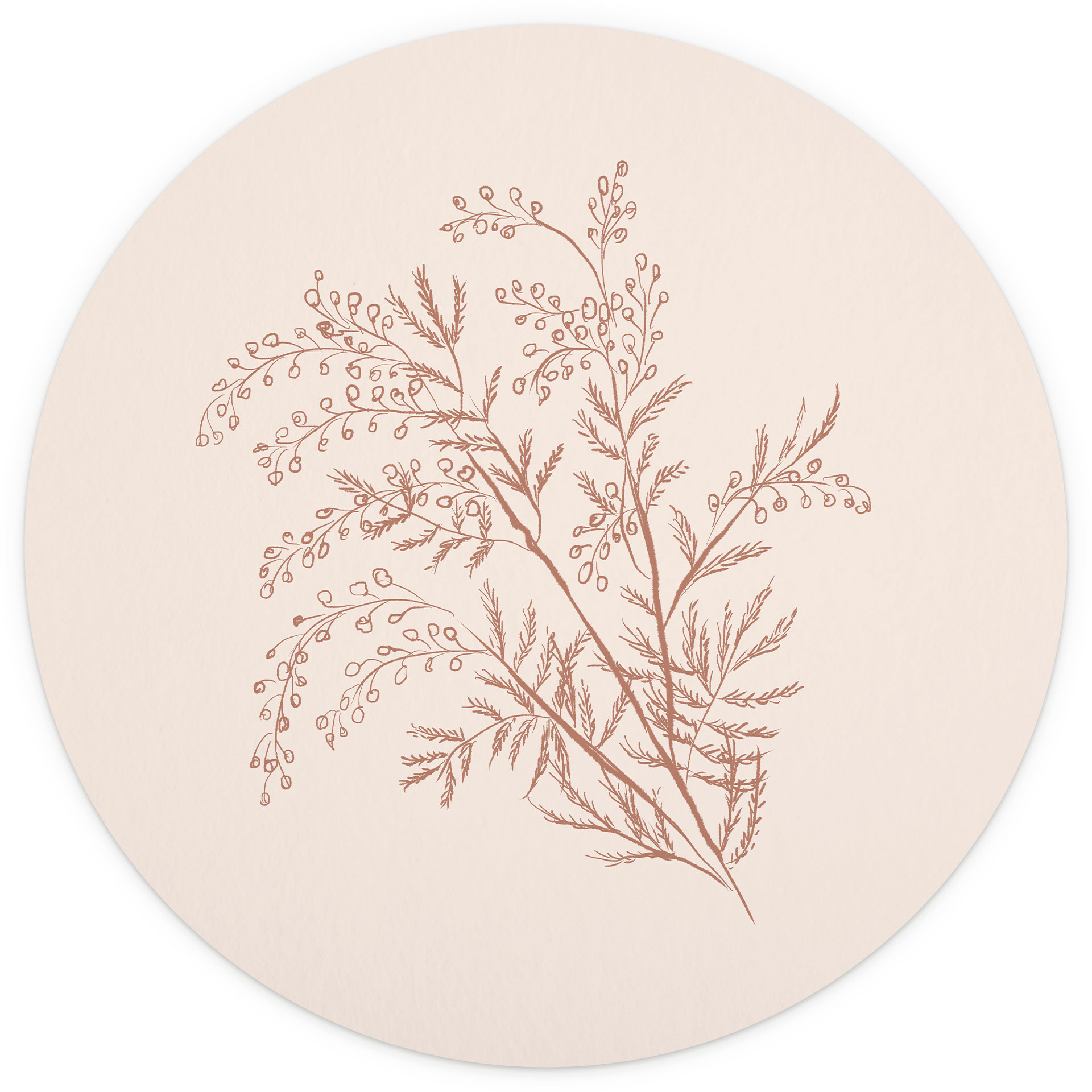 Tak van acacia in mokkakleur | Botanicals Fotobehang - anijs illustratie - rond - vliesbehang/zelfkl