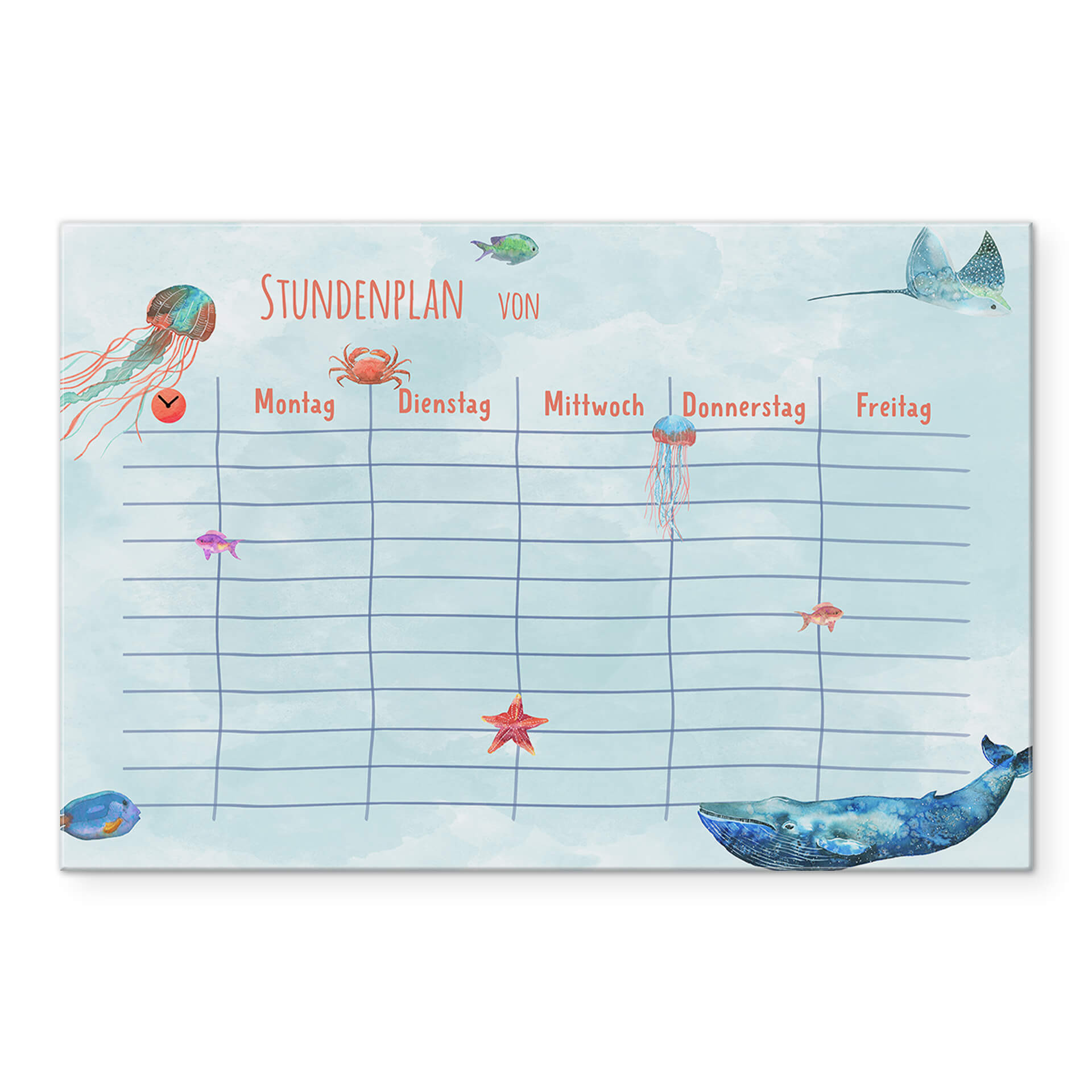 Acrylboard Memoboard Stundenplan Meerestiere - Transparent