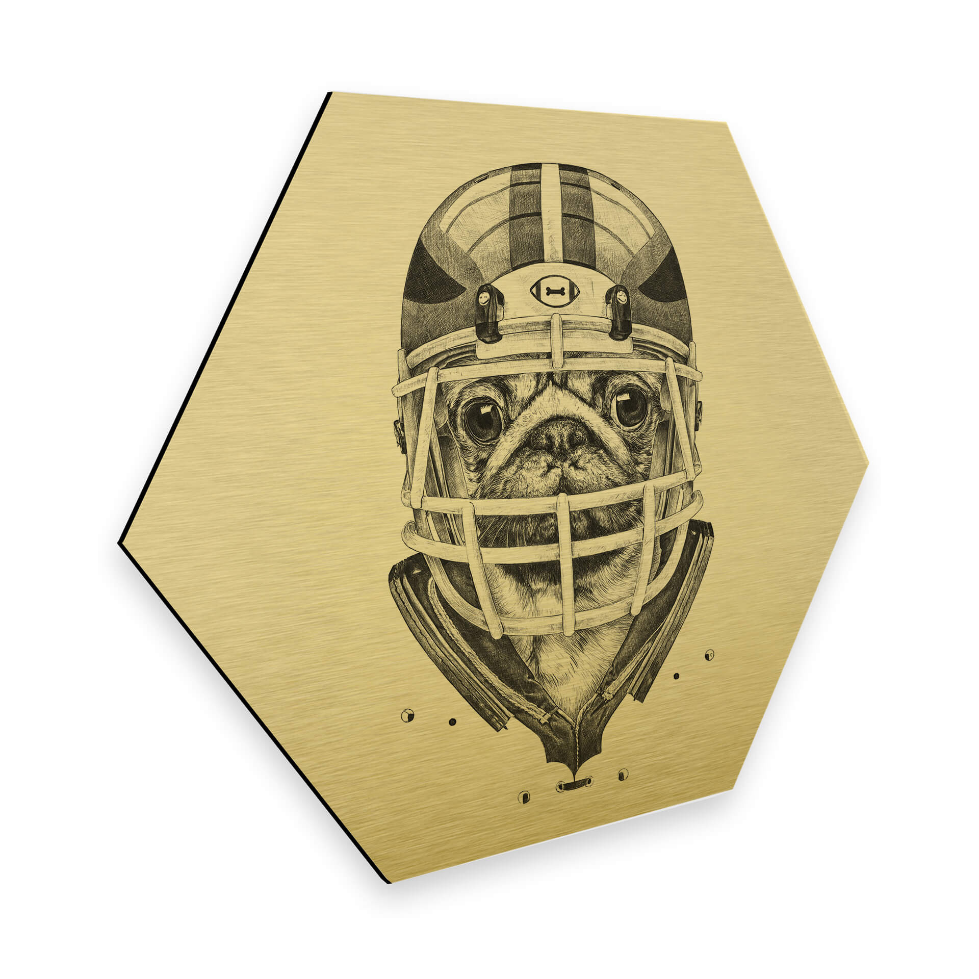 Hexagon - Alu-Dibond goud effect Kools - American Pug Football