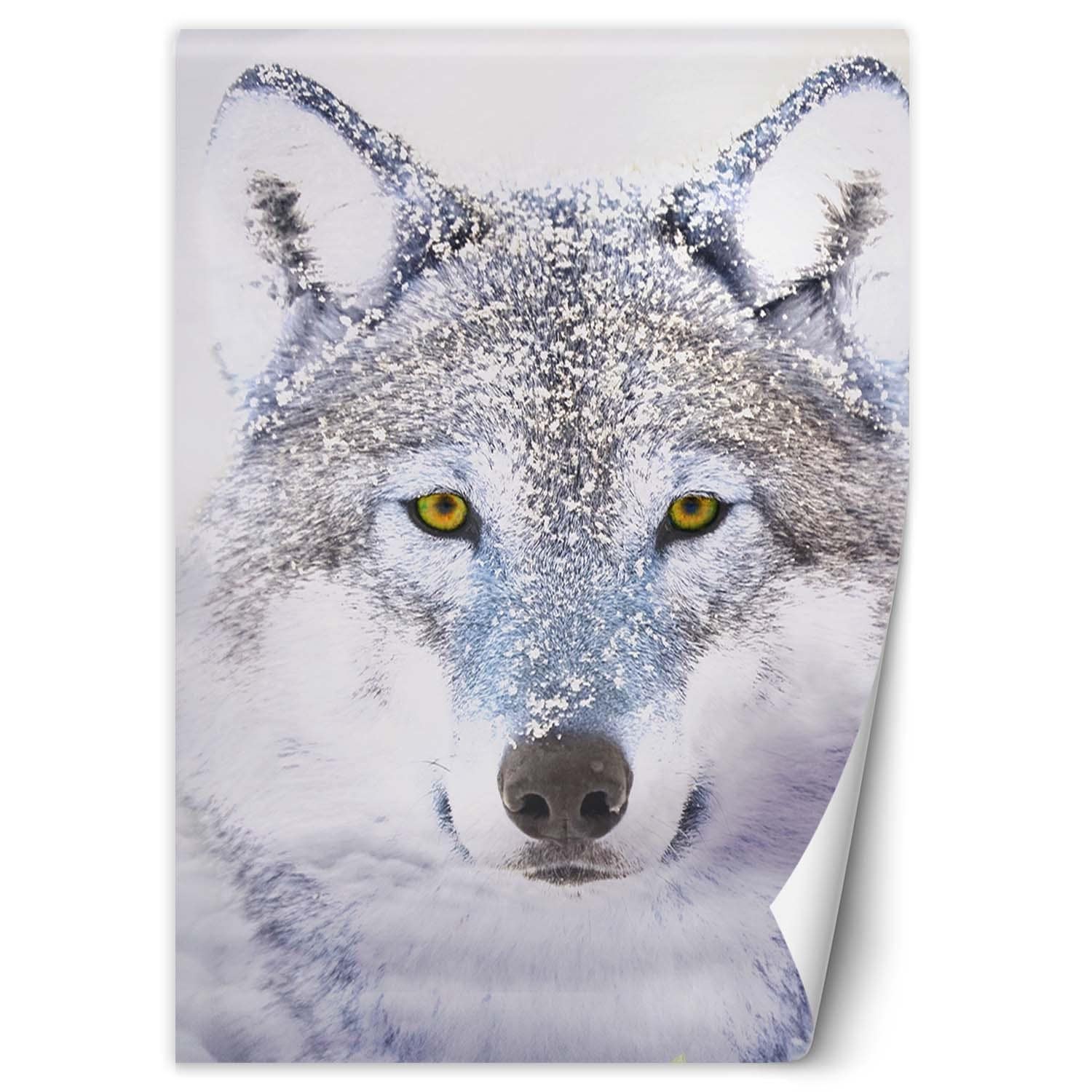 Fototapete, Porträt Wolfes im Winter