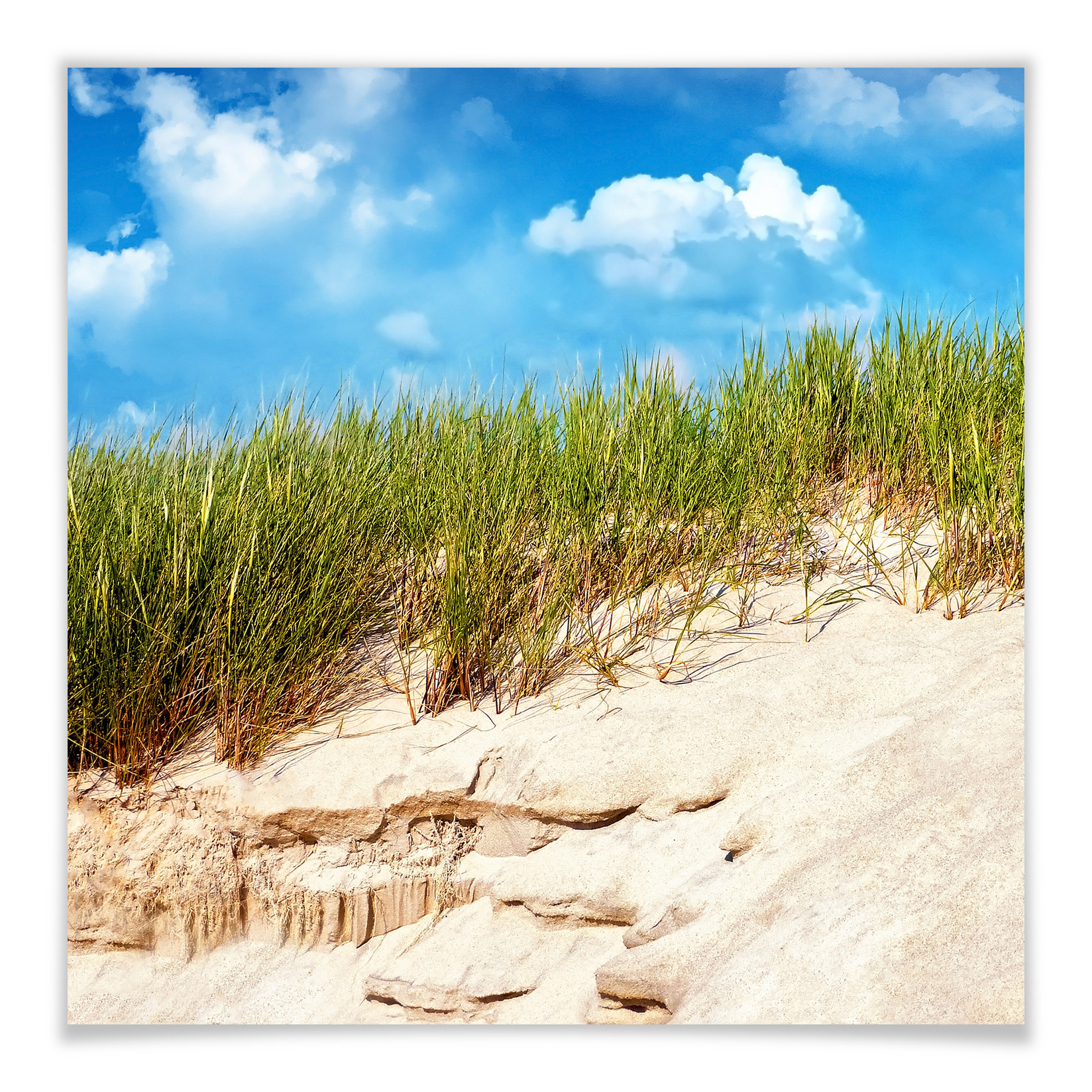 Poster - Dunes de la mer baltique