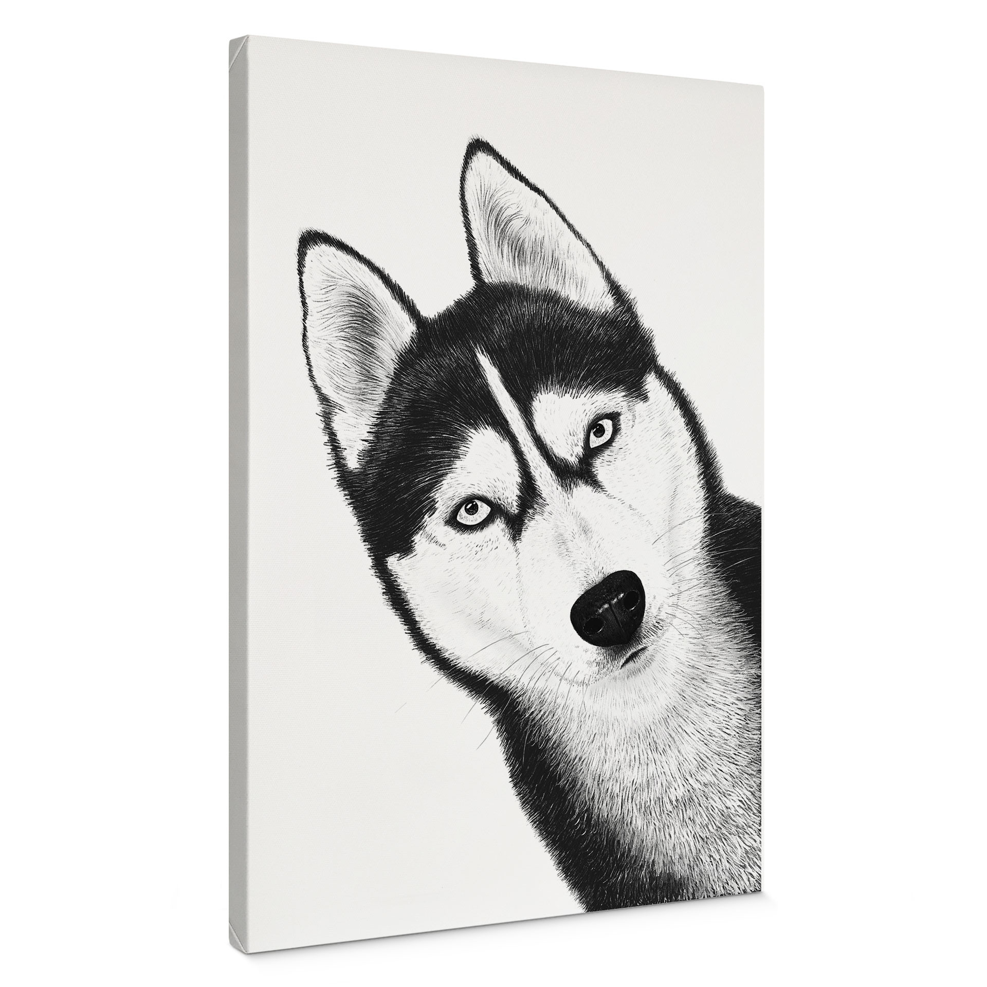 Obraz na płótnie Siberian husky - portret psa - Korenkova