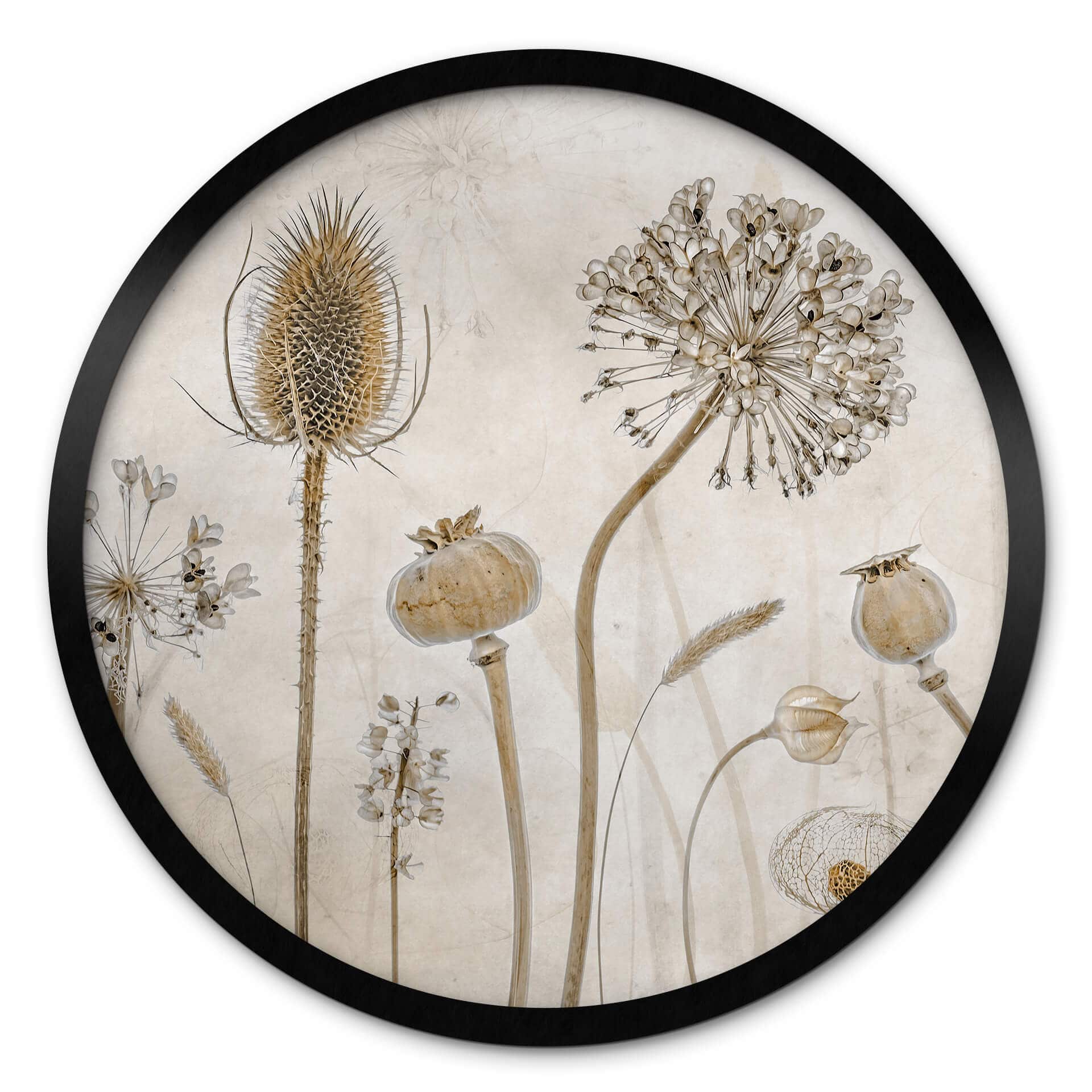 Poster rond Disher - fleurs séchées