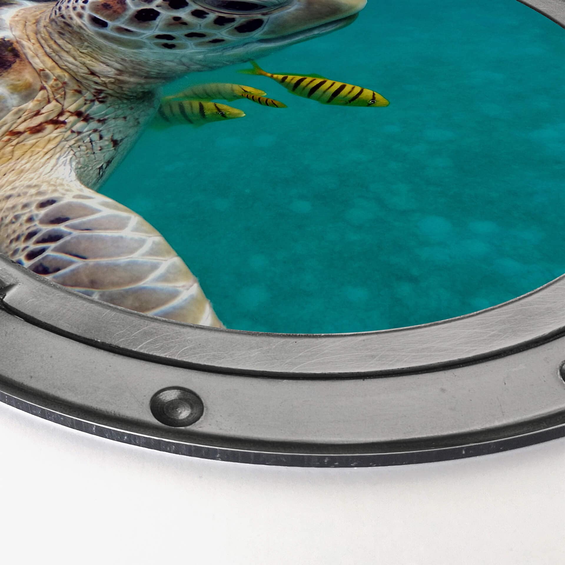 Alu-Dibond effetto 3D - Amici - tondo