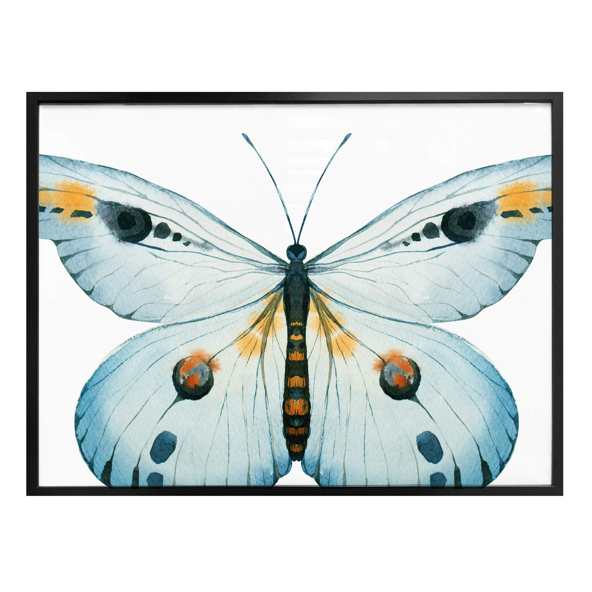 Plakat Kvilis - Butterfly 03