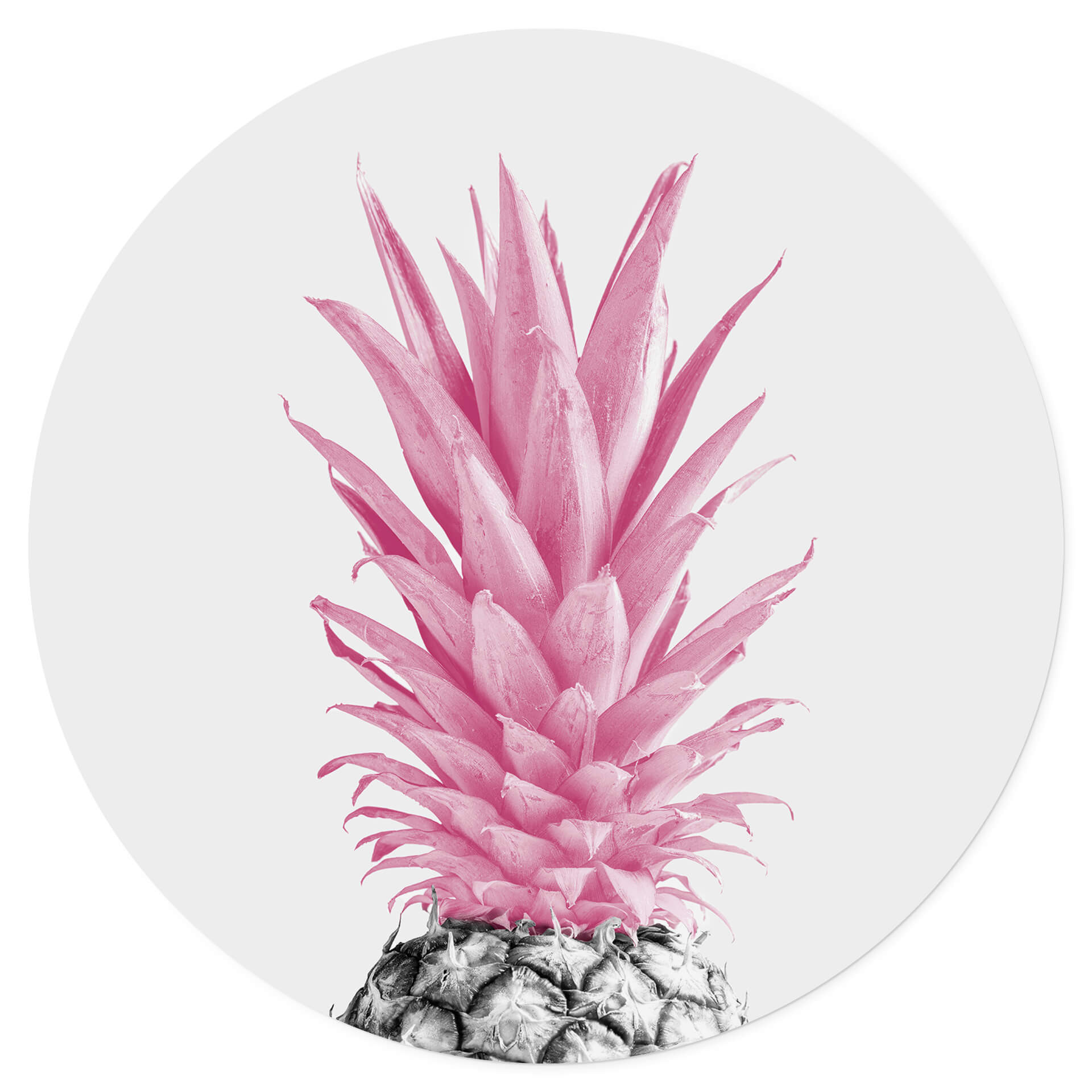 Naklejka na ścianę różowy ananas - 1X Studio - okrągła