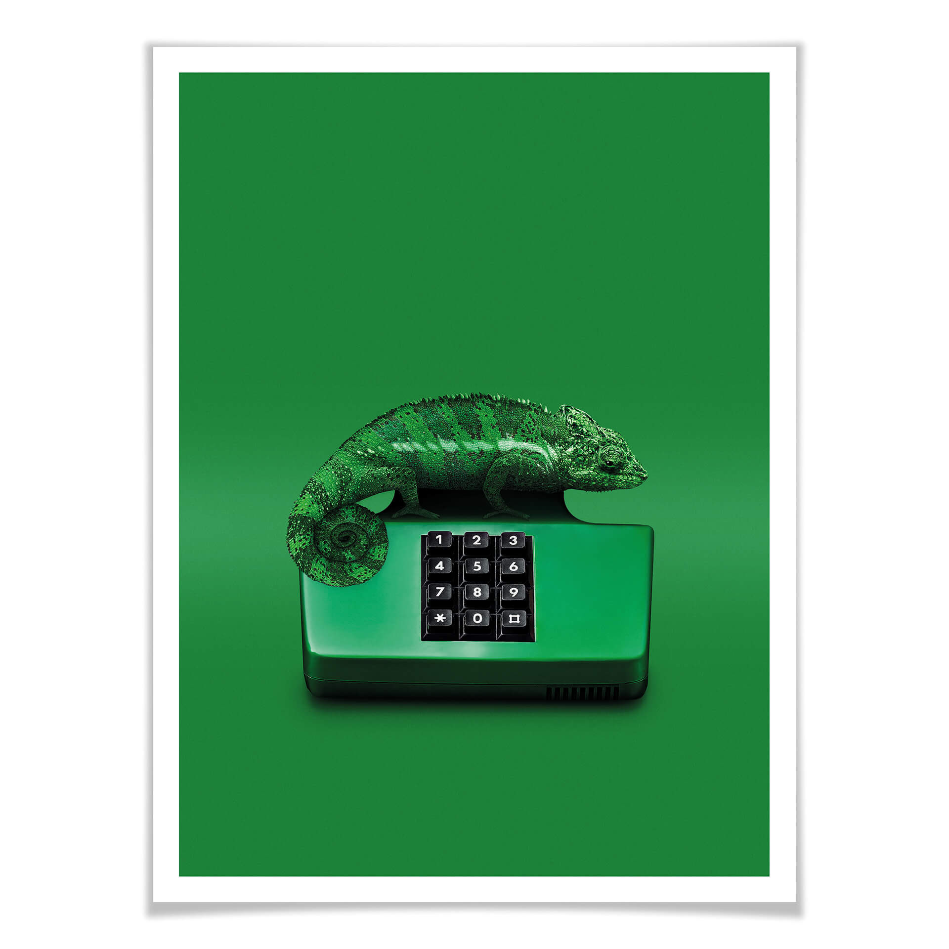Plakat Loose - Chamelephone