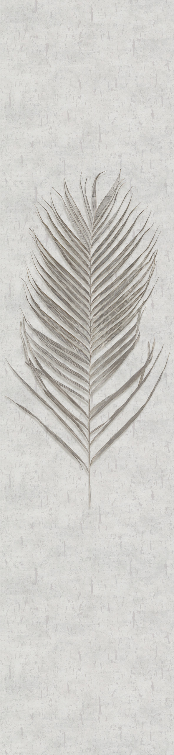 vliesbehang vliesbehang Natural Opulence White grafisch 3.30 x 0.70 cm
