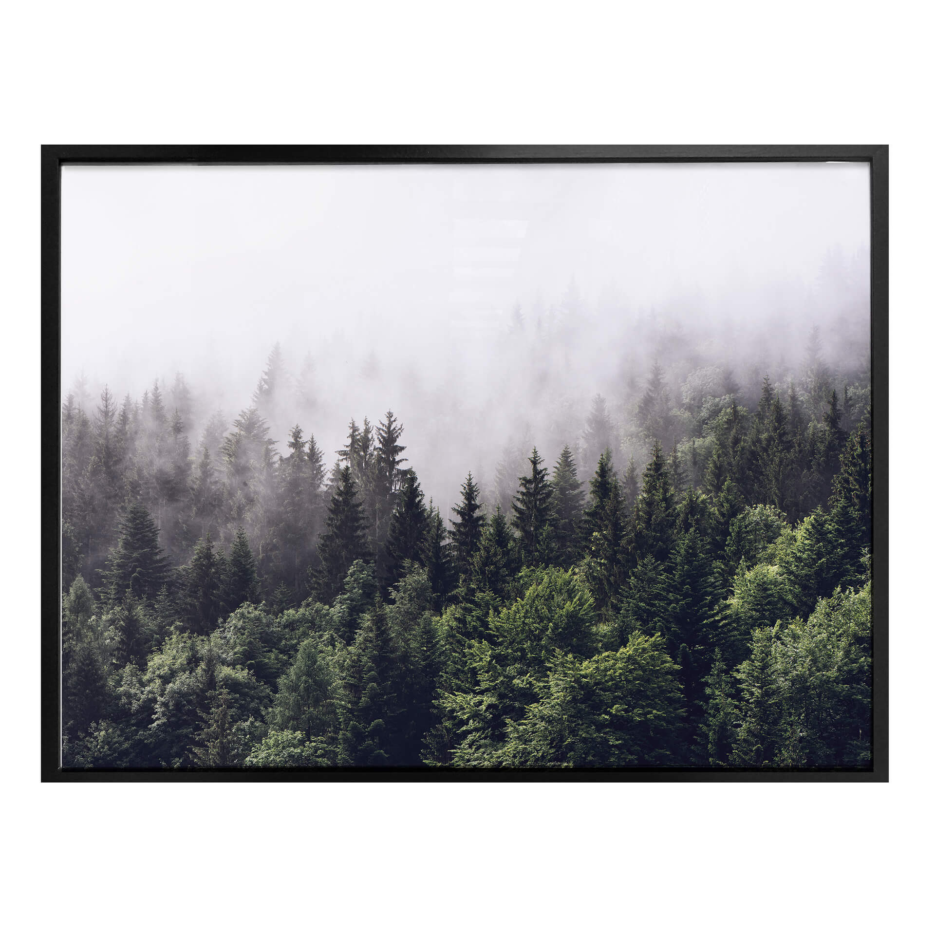 Plakat z mglistym lasem