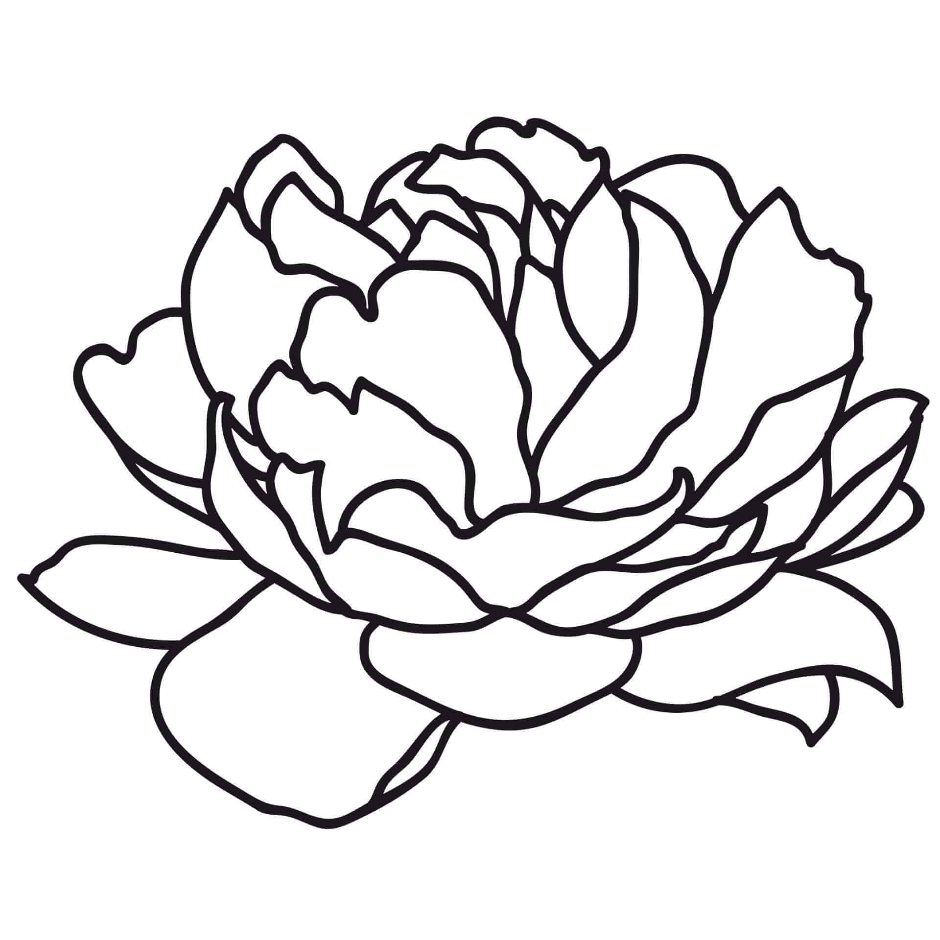 Muursticker Peony Blossom 02