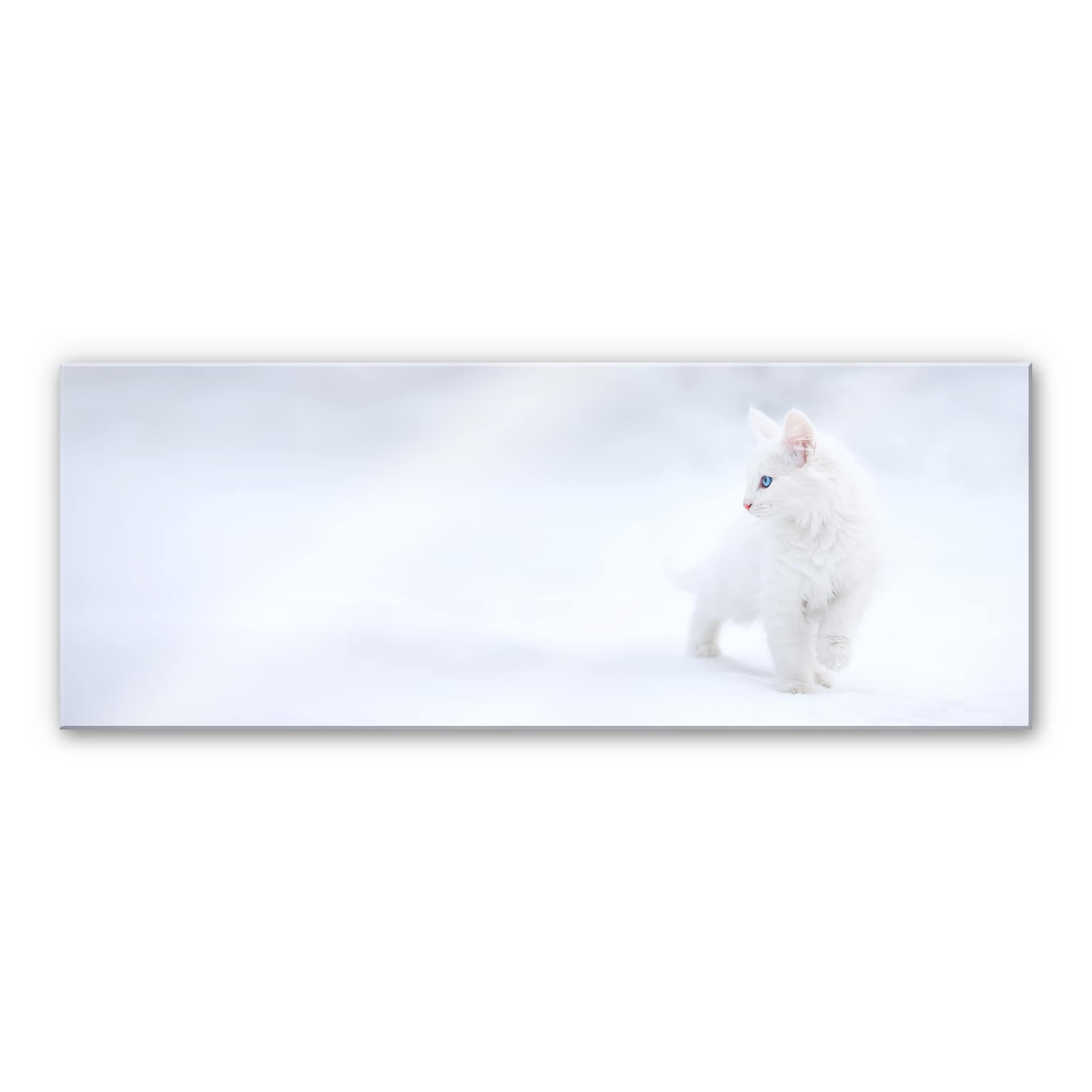 Acrylglasbild Prexus - Weißer als Schnee